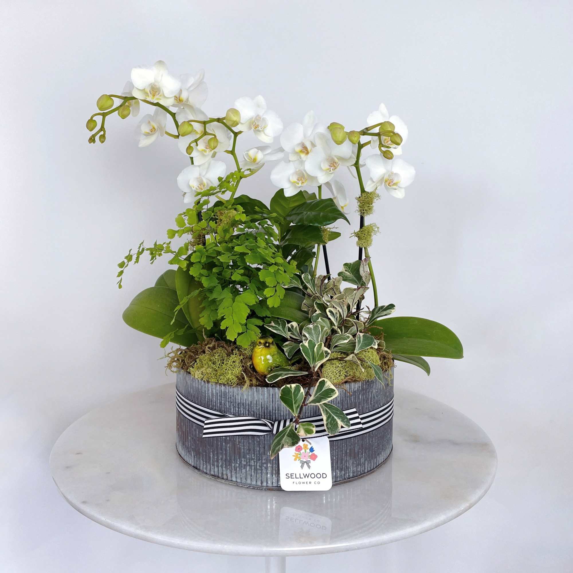 White orchids arranged in a round gray container with mixed greenery.