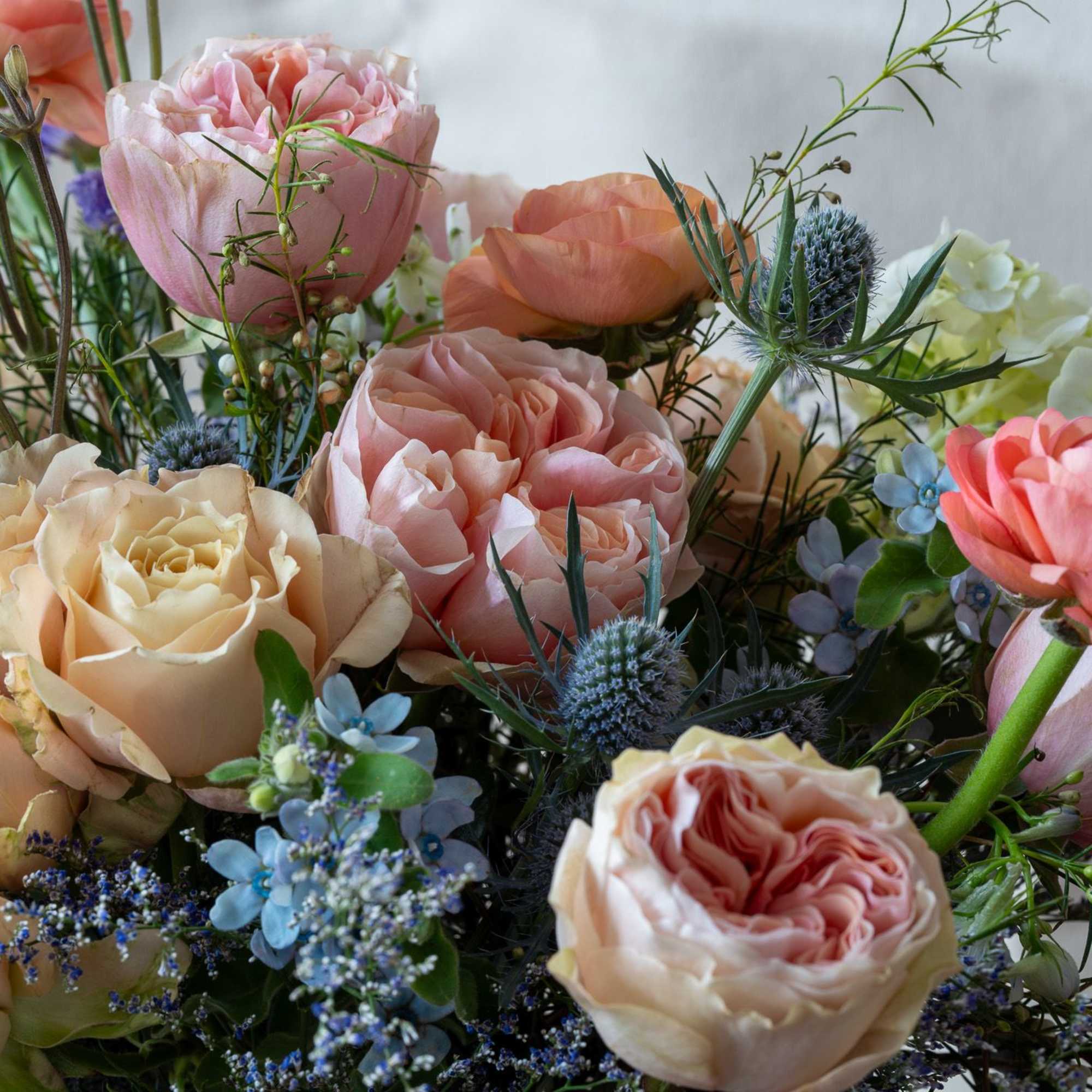 Soft coral. peach and pale yellows with pops of lavender and blue