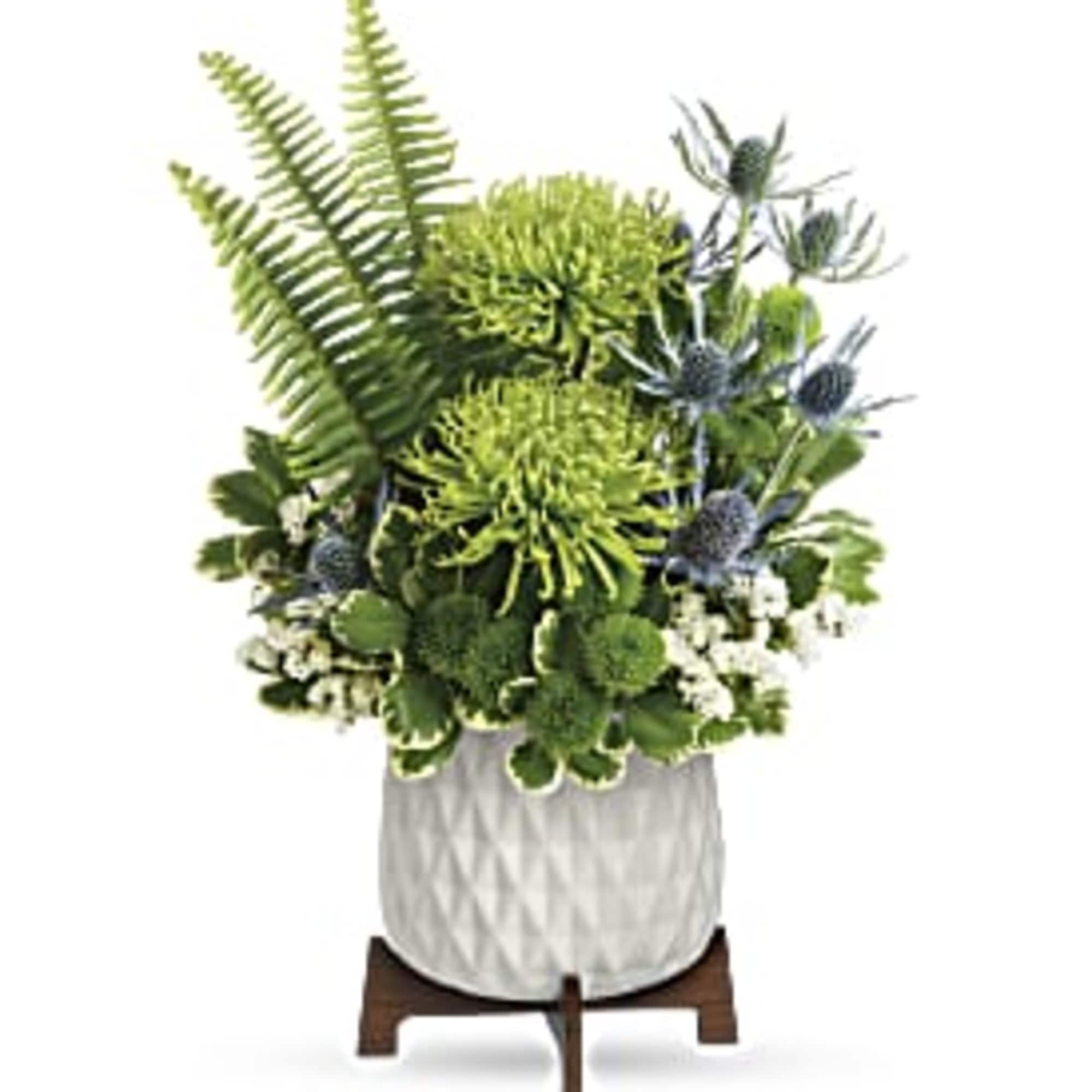 Modern green and blue floral arrangement with spider mums, fern fronds, and thistle in a white pot on wooden stand