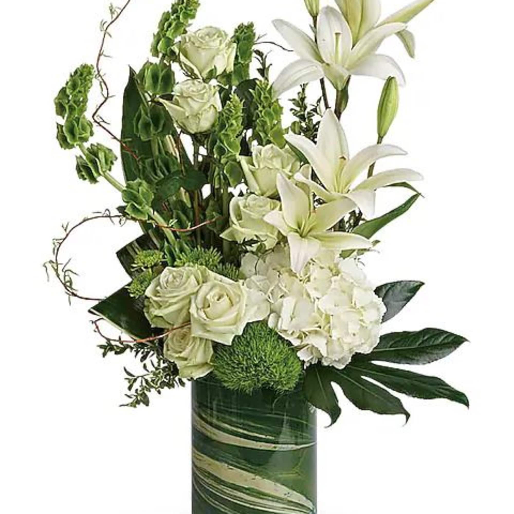 Snow white blooms and eye-catching greens create this beautiful botanical gift that's