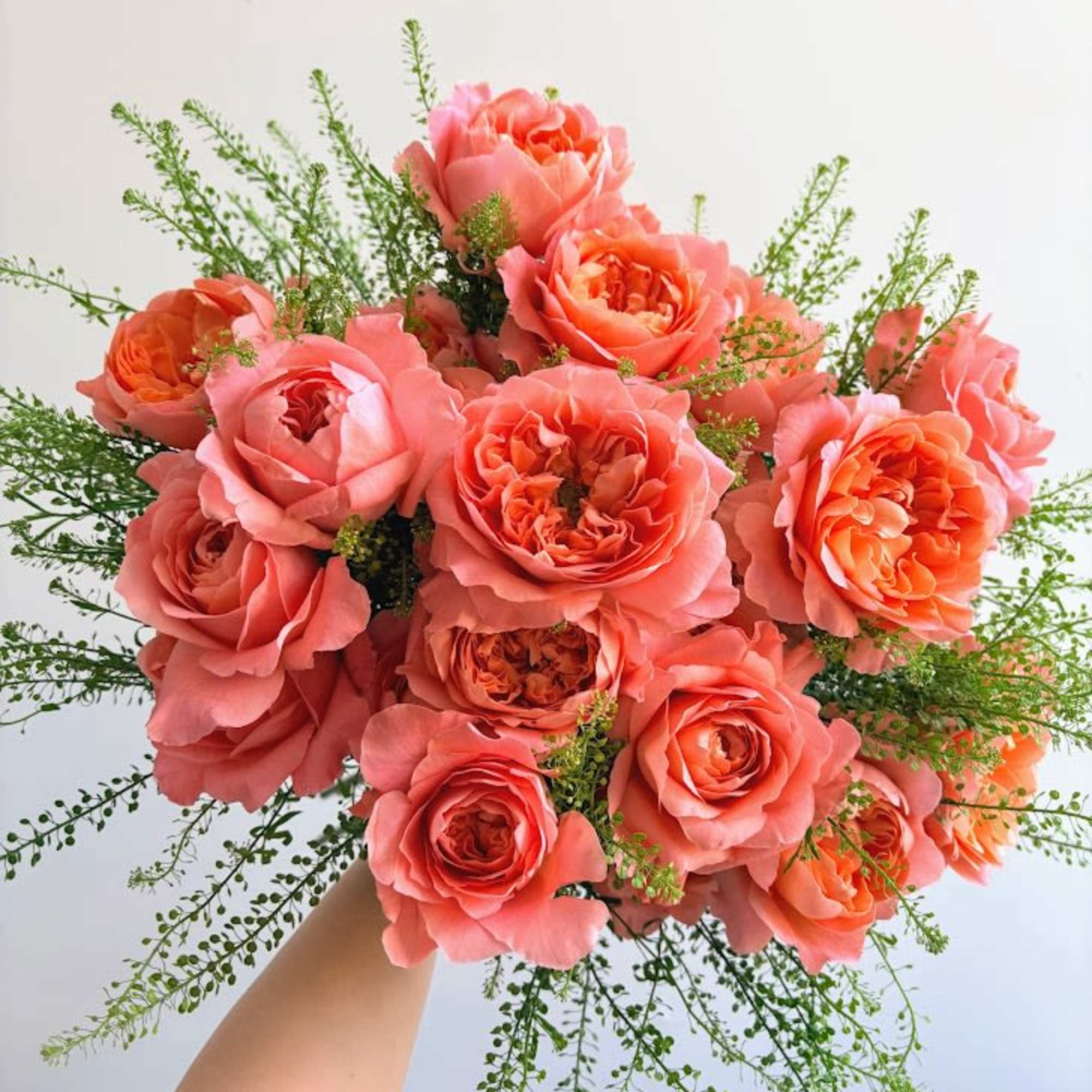 Tried and true roses with greens.