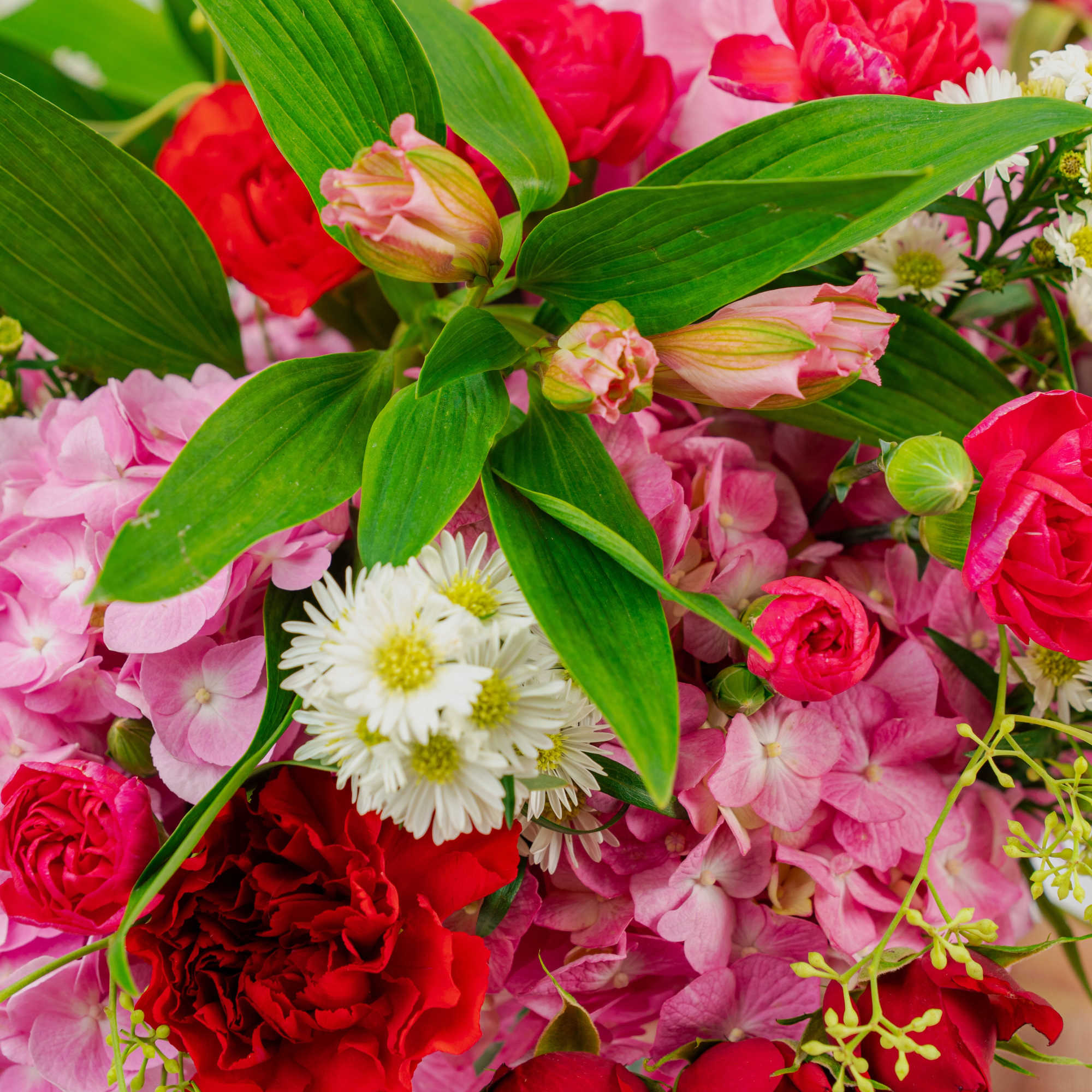 Close-up of pink hydrangeas, red carnations, small white daisies, spray roses, and green leaves