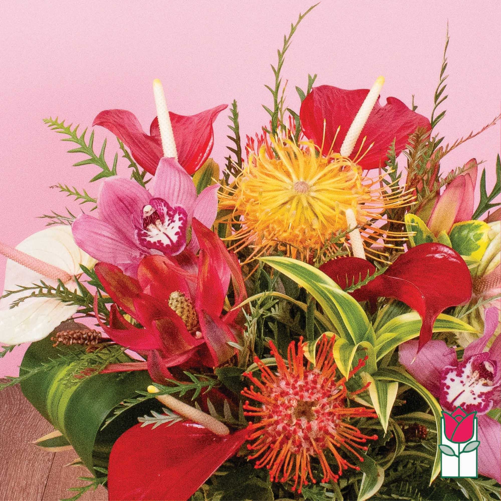 Bright tropical arrangement with red and pink orchids, red callas, and orange pincushion blooms against a pink background