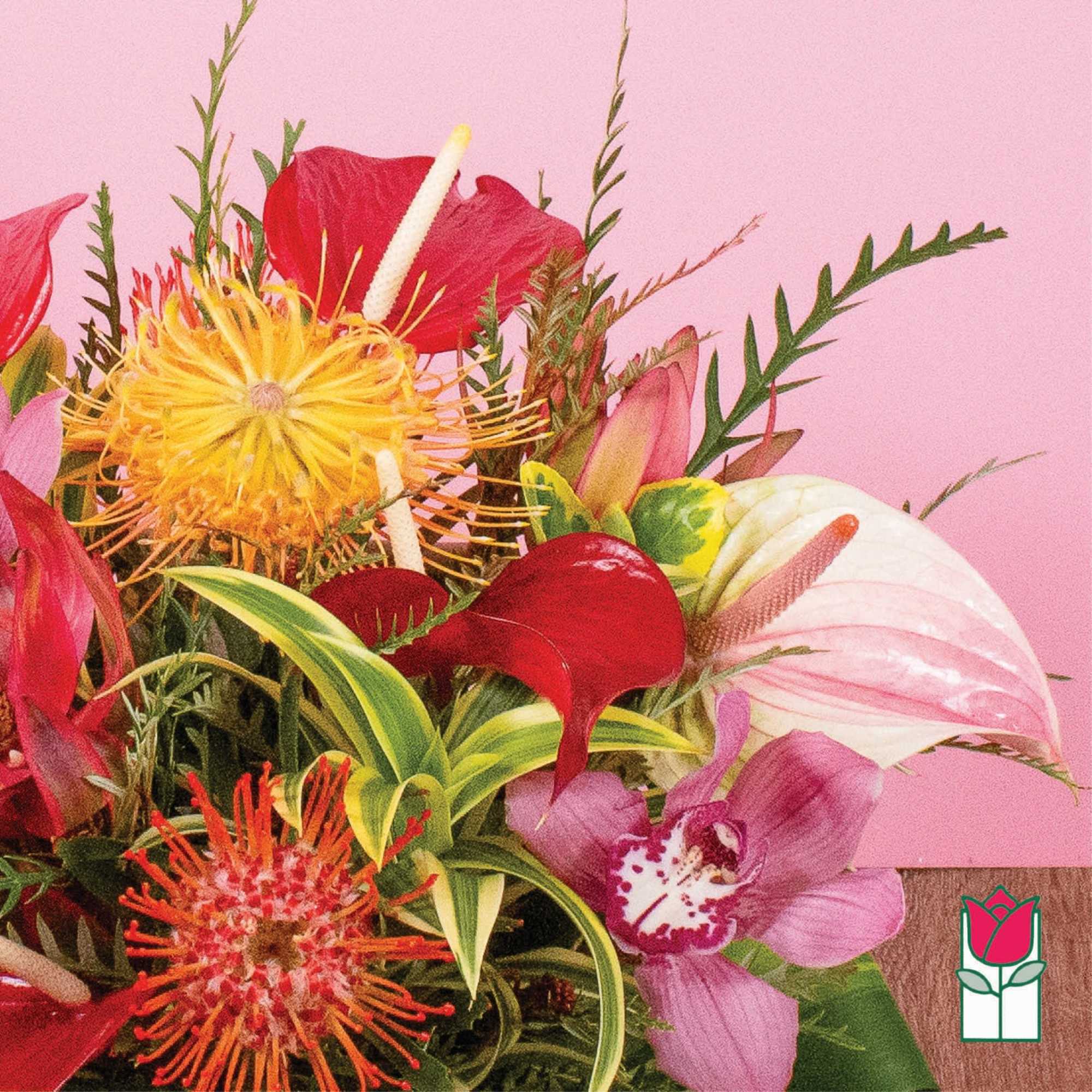 Tropical mixed bouquet with red anthurium, yellow pincushion protea, and pink orchids on a pink background