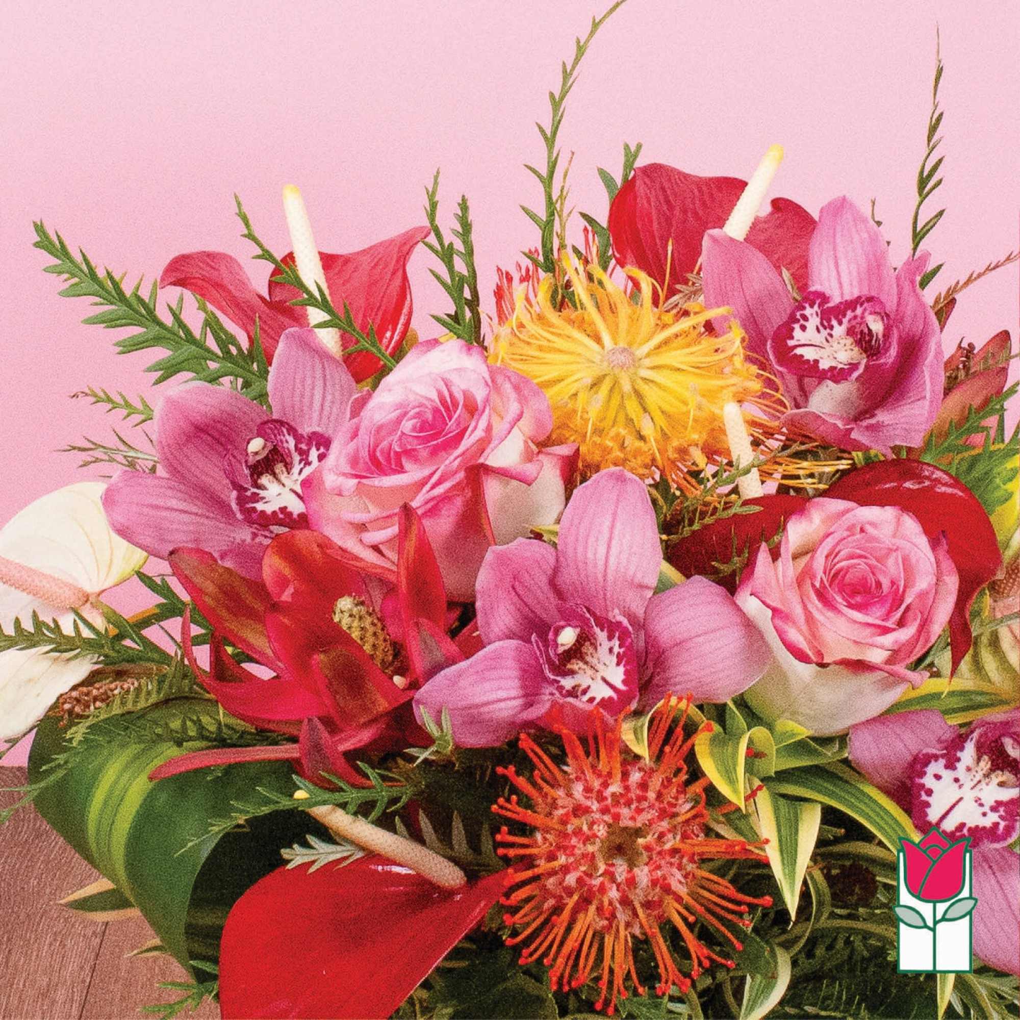 Bright arrangement with pink roses, orchids, red anthuriums, and orange pincushion protea on a pink background