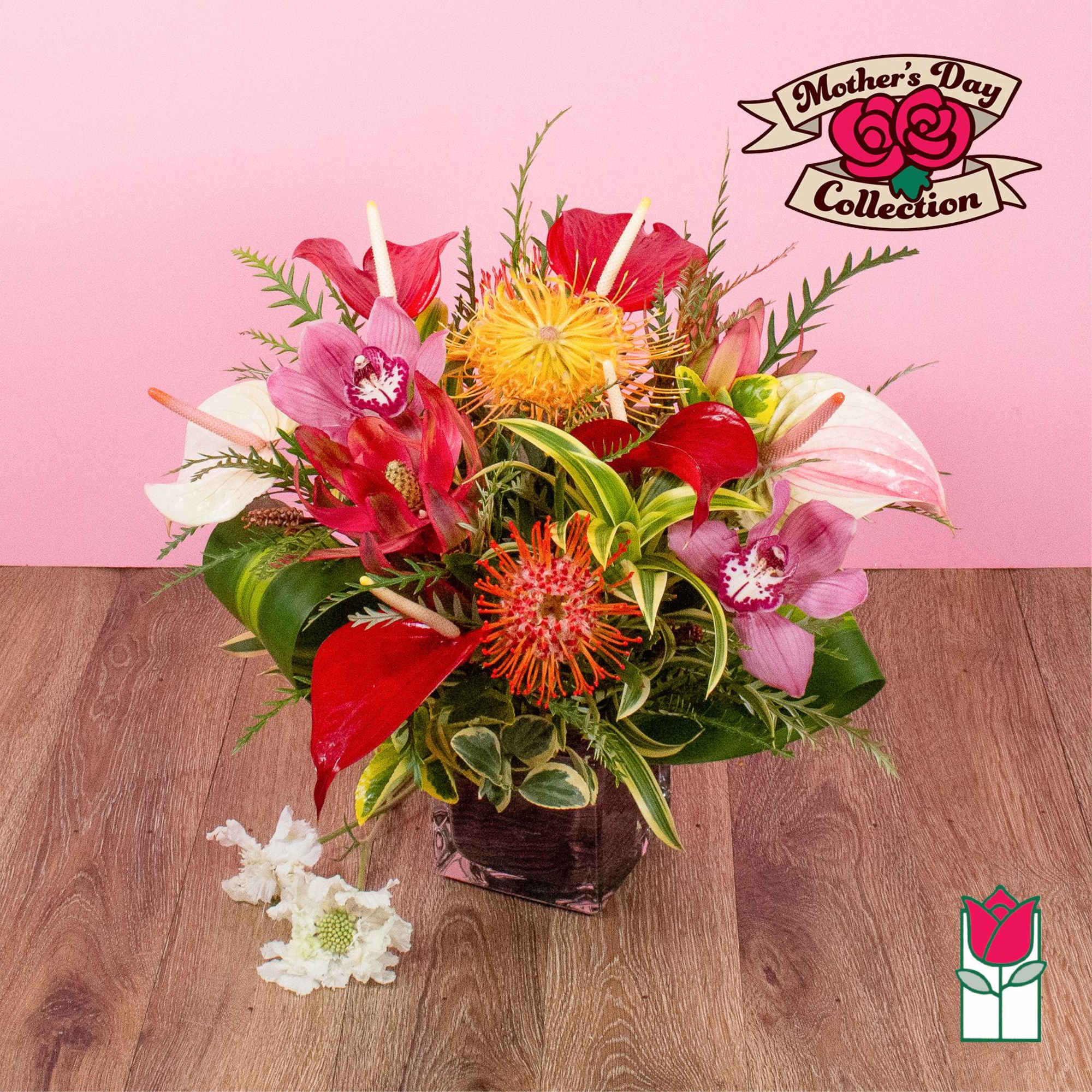 Tropical arrangement with red anthuriums, pink orchids, and pincushion protea in a dark glass cube vase.
