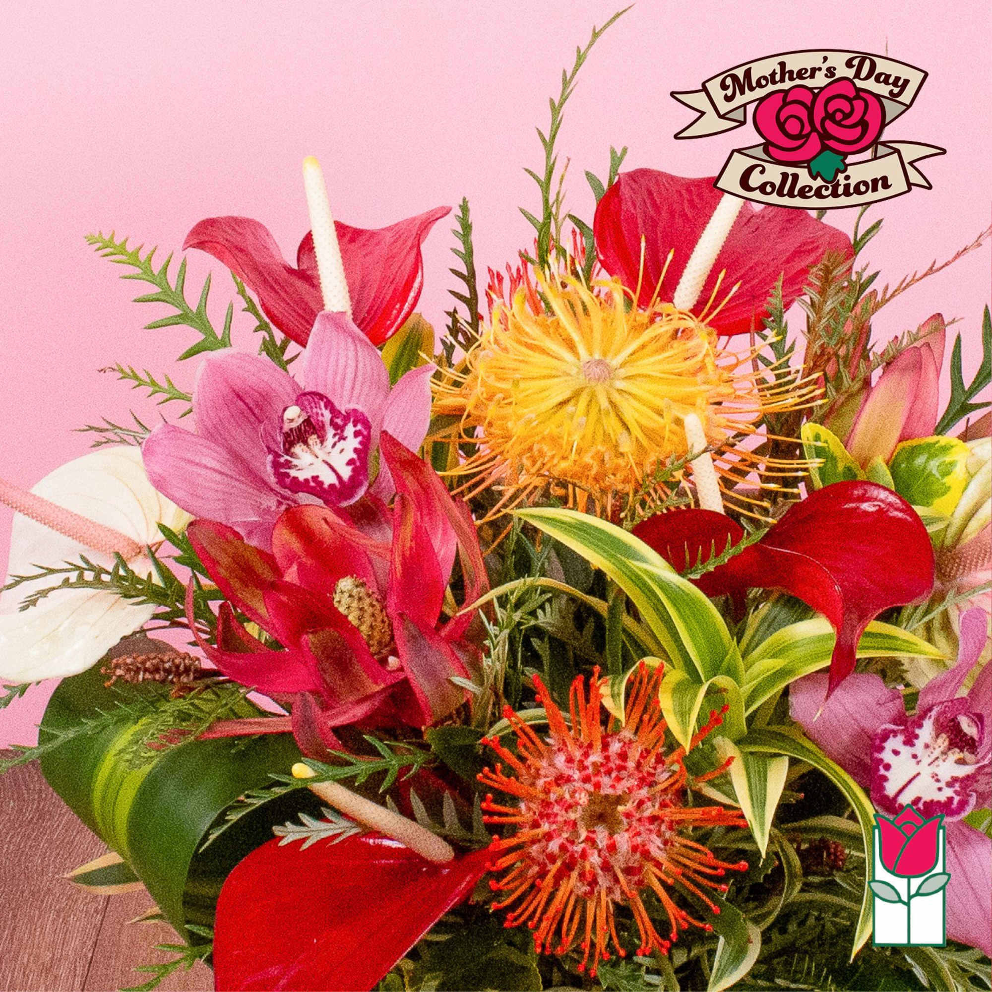 Tropical arrangement with red blooms, pink orchids, and orange pincushion protea on a pink background