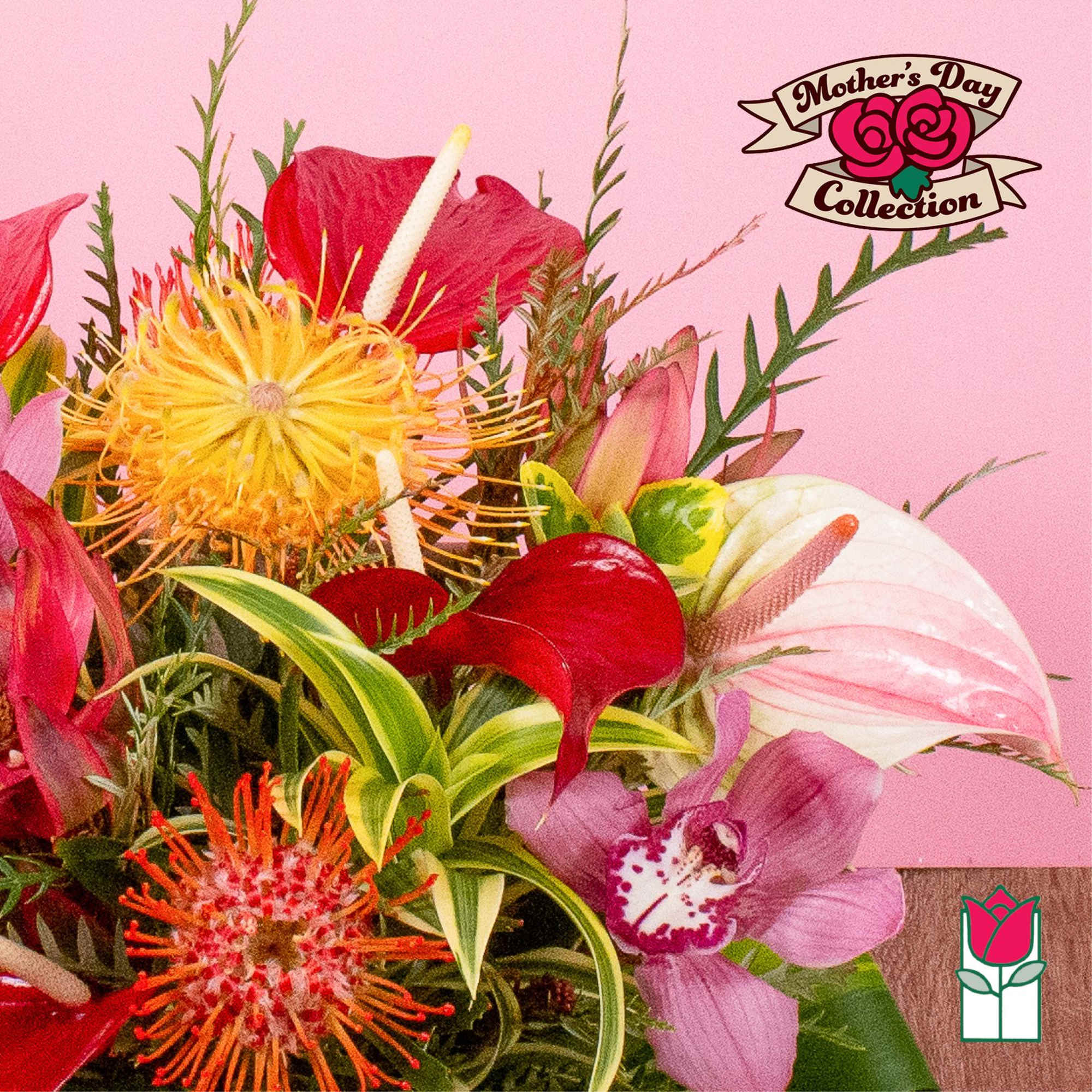 Vibrant tropical arrangement with red, pink, yellow, and orange blooms against a pink background