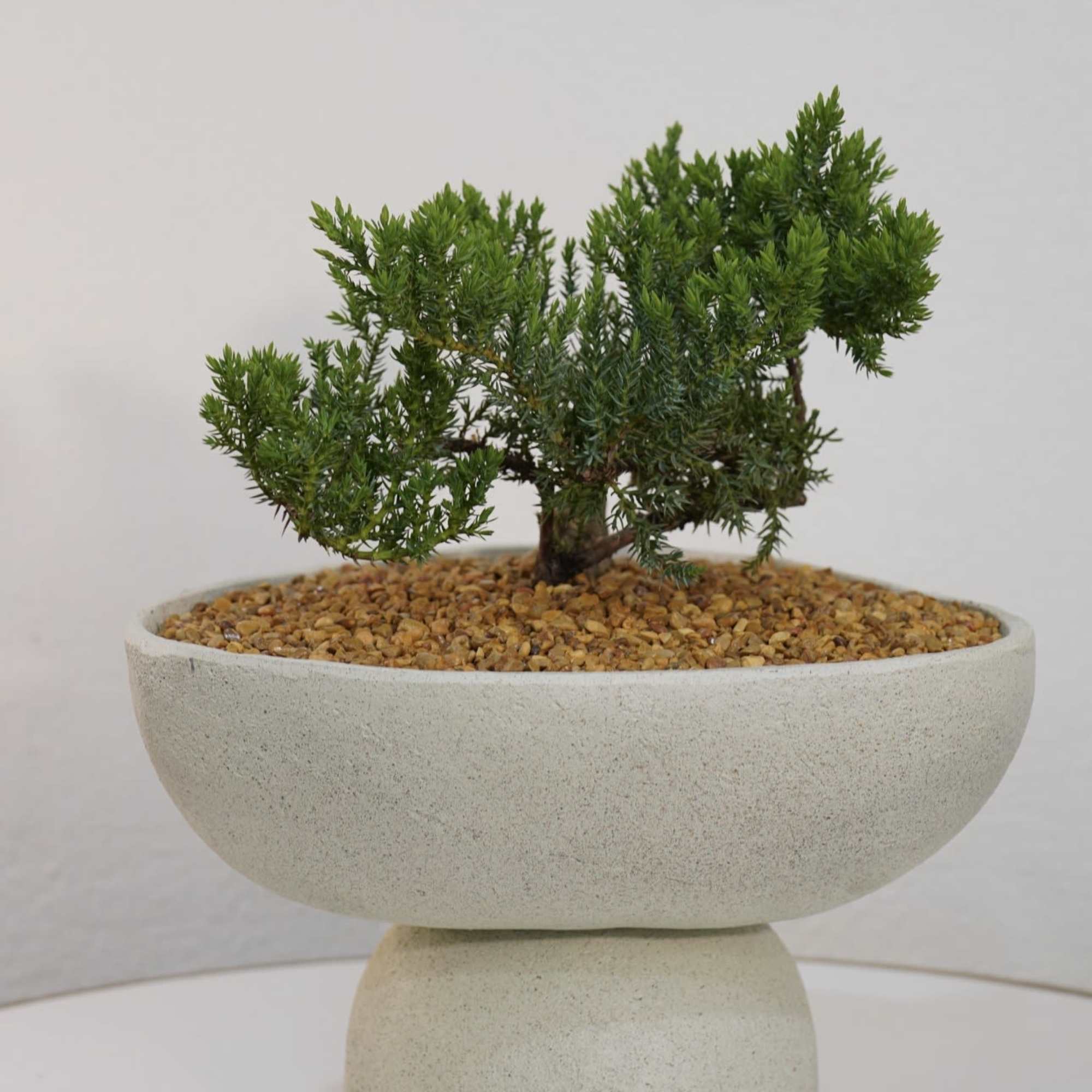 Bring calm, balance, and modern elegance into any space with our Zen