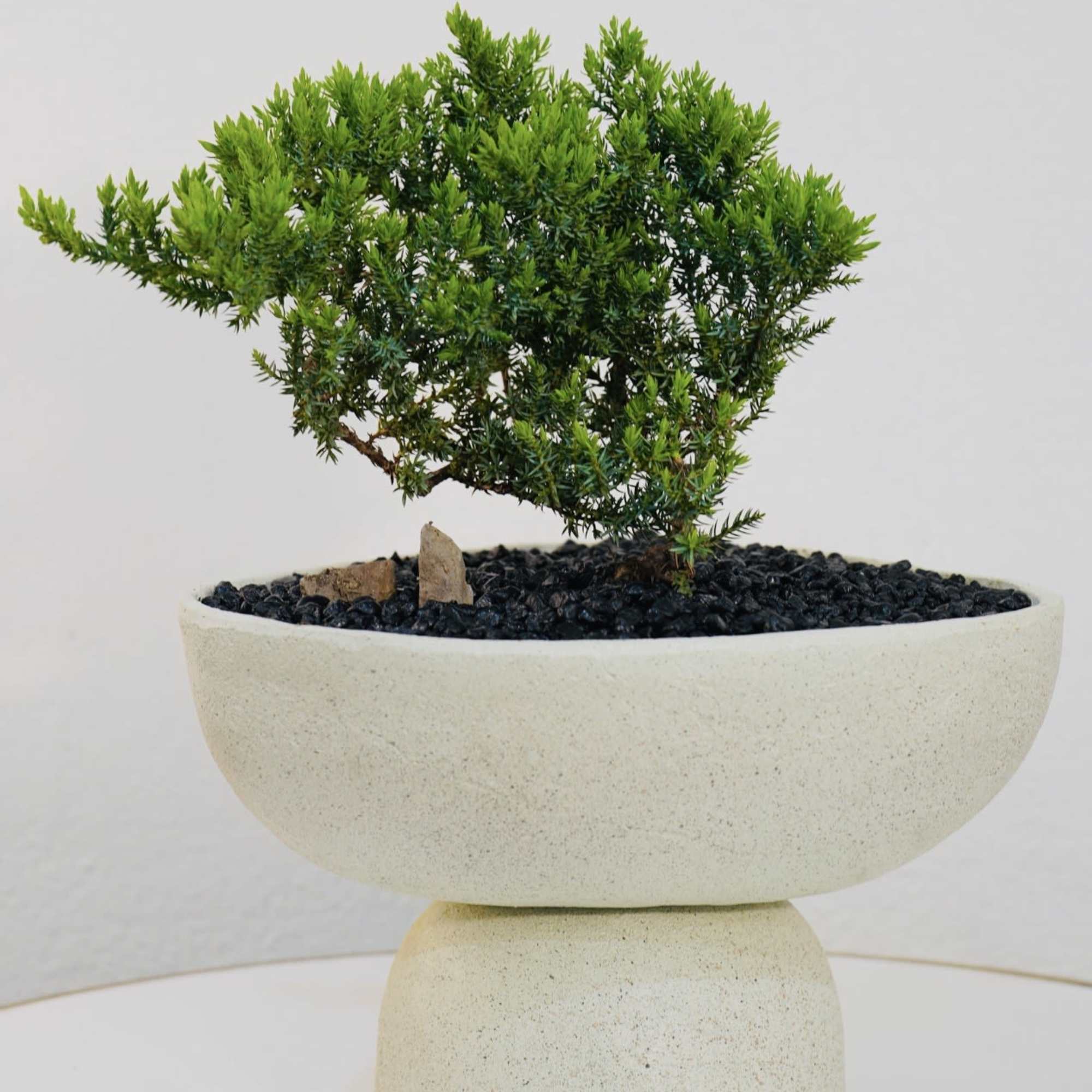 Bring calm, balance, and modern elegance into any space with our Zen