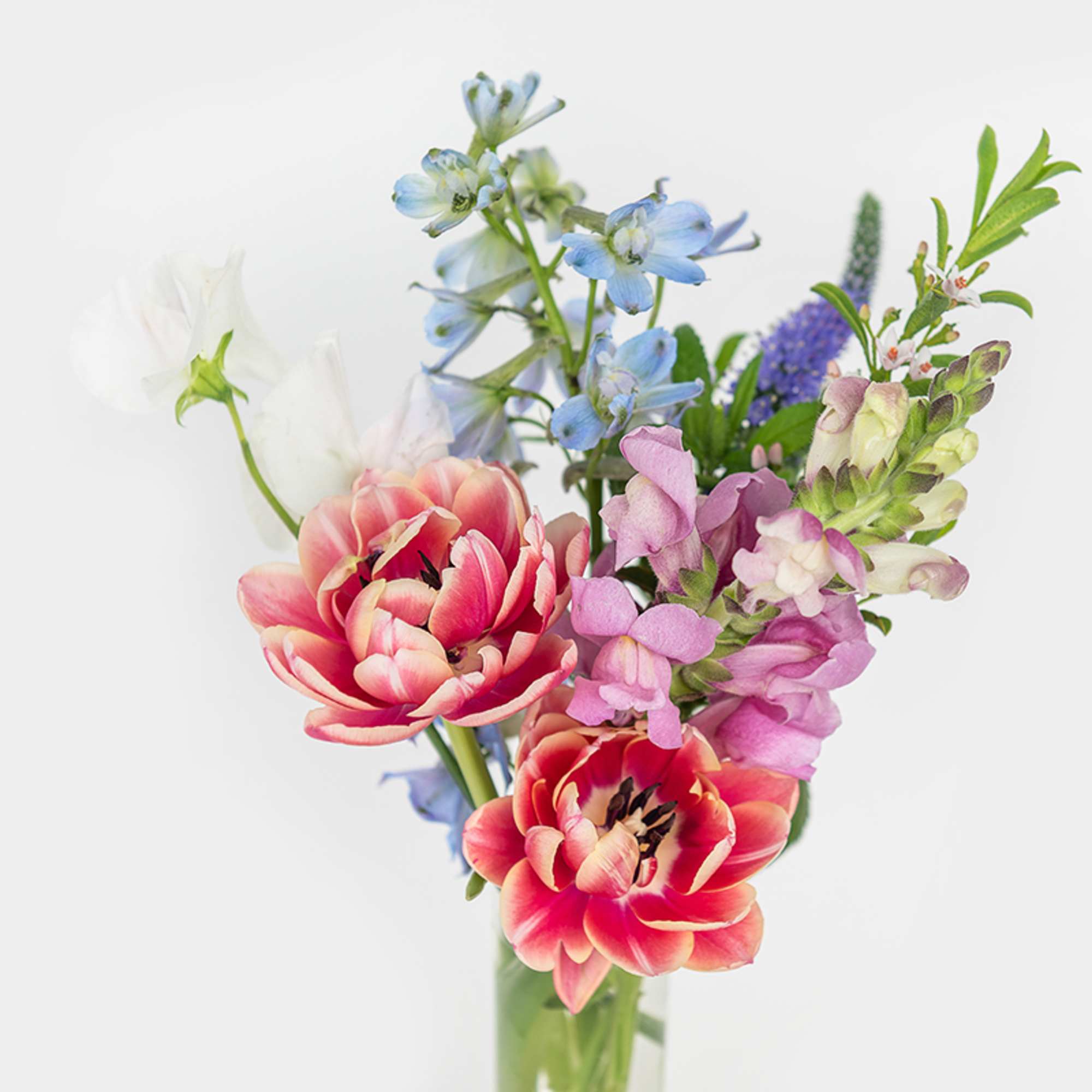 Small mixed bouquet with red and pink tulips, blue delphinium, and pastel blooms in a clear glass vase