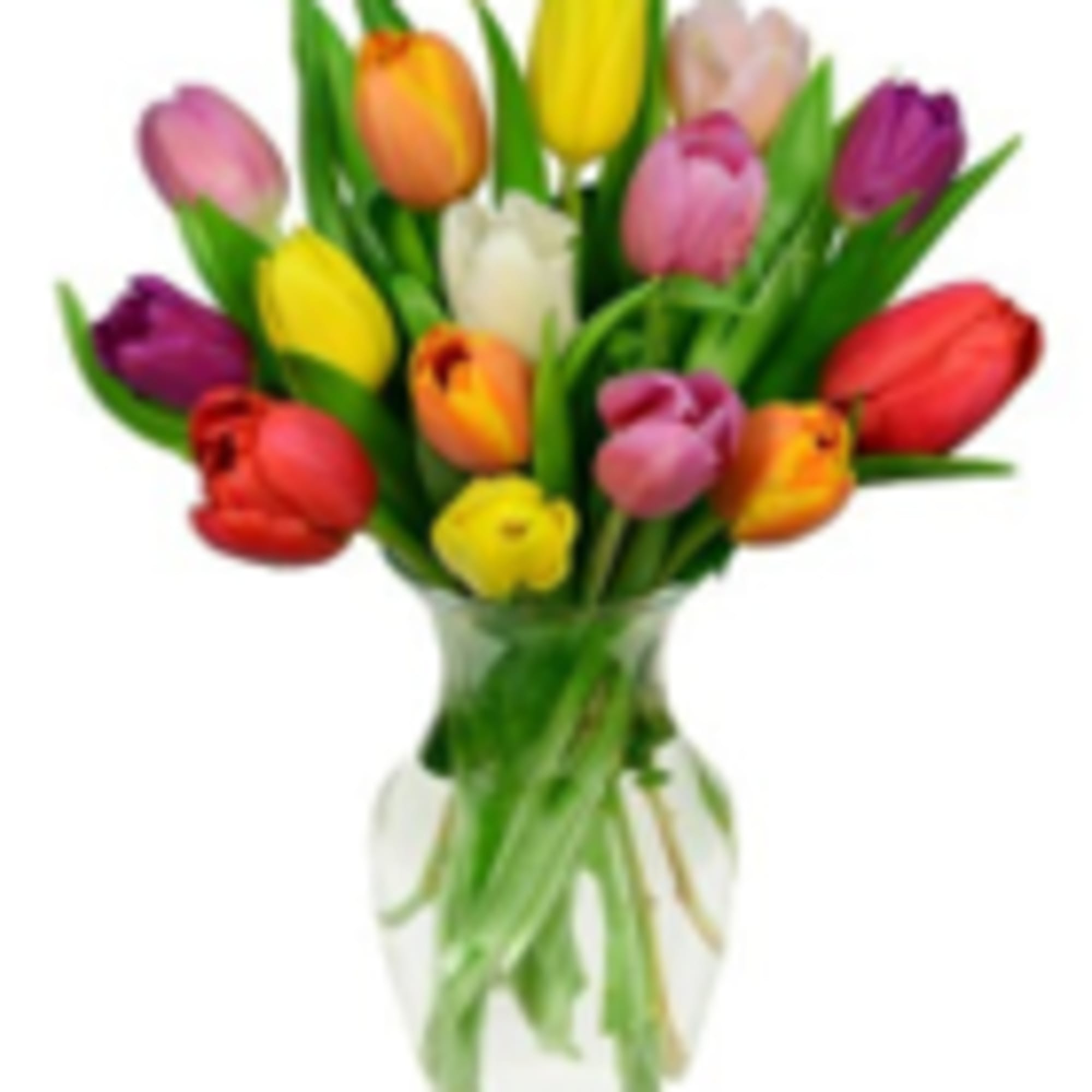 Mixed-color tulips arranged in a clear glass vase