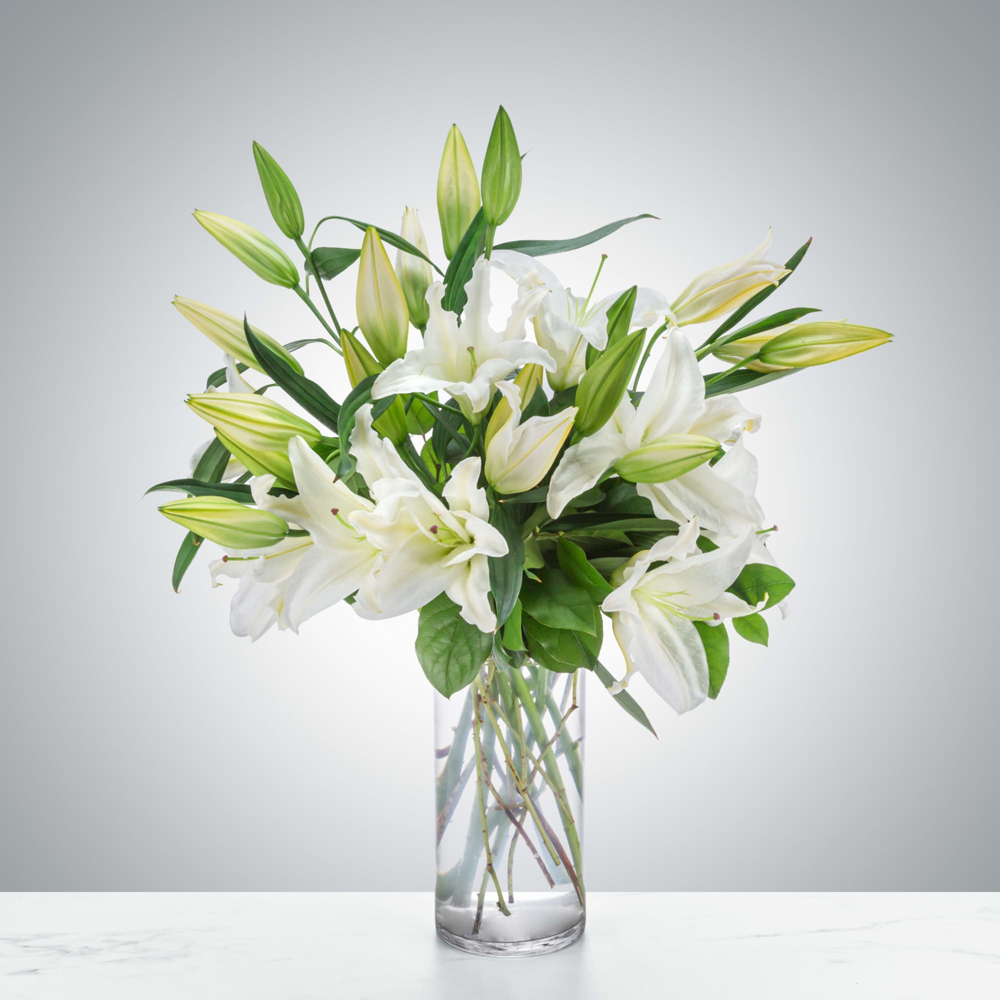 Tall glass vase of white lilies with green buds and foliage on a light background