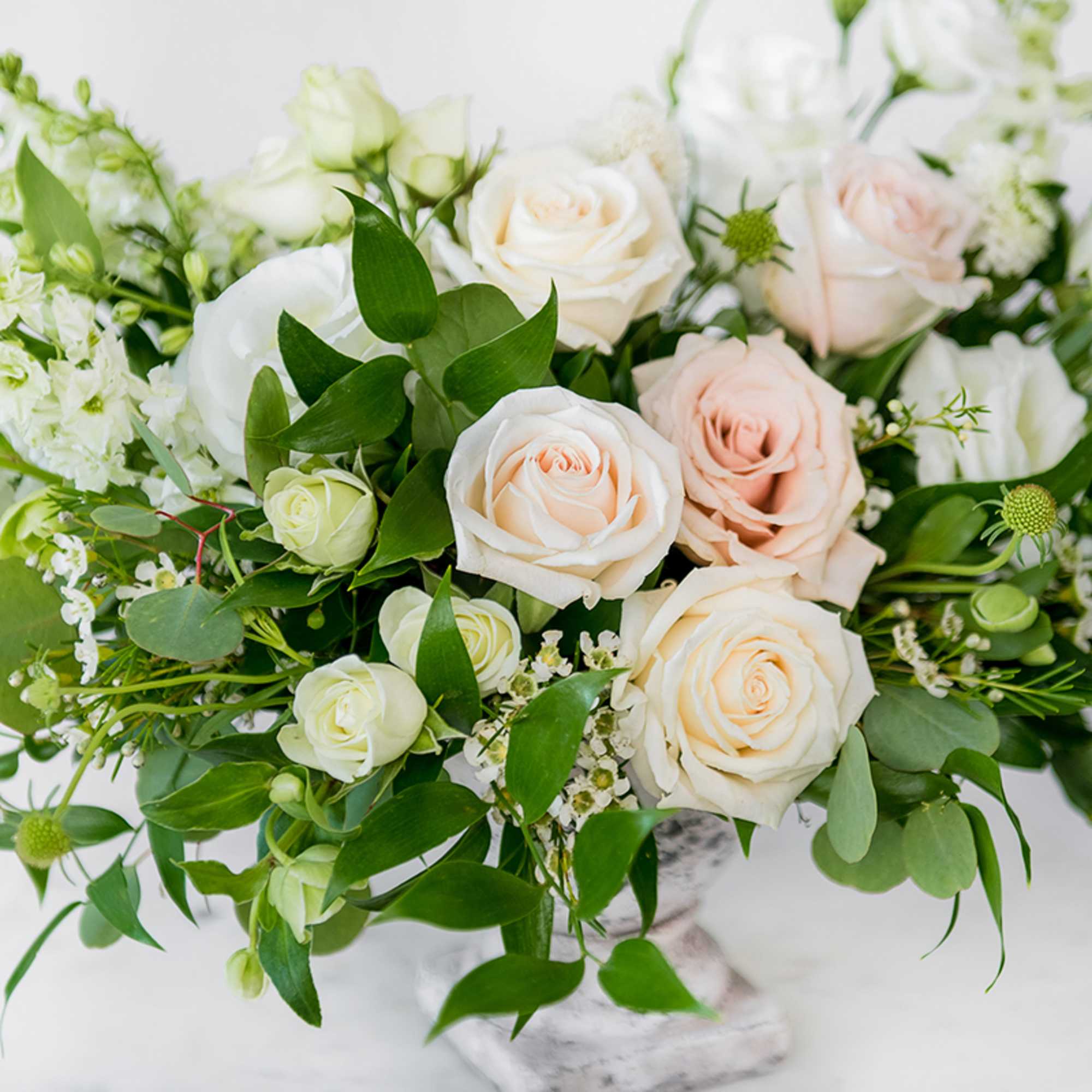 Cream and blush roses arranged in a white vase with greenery