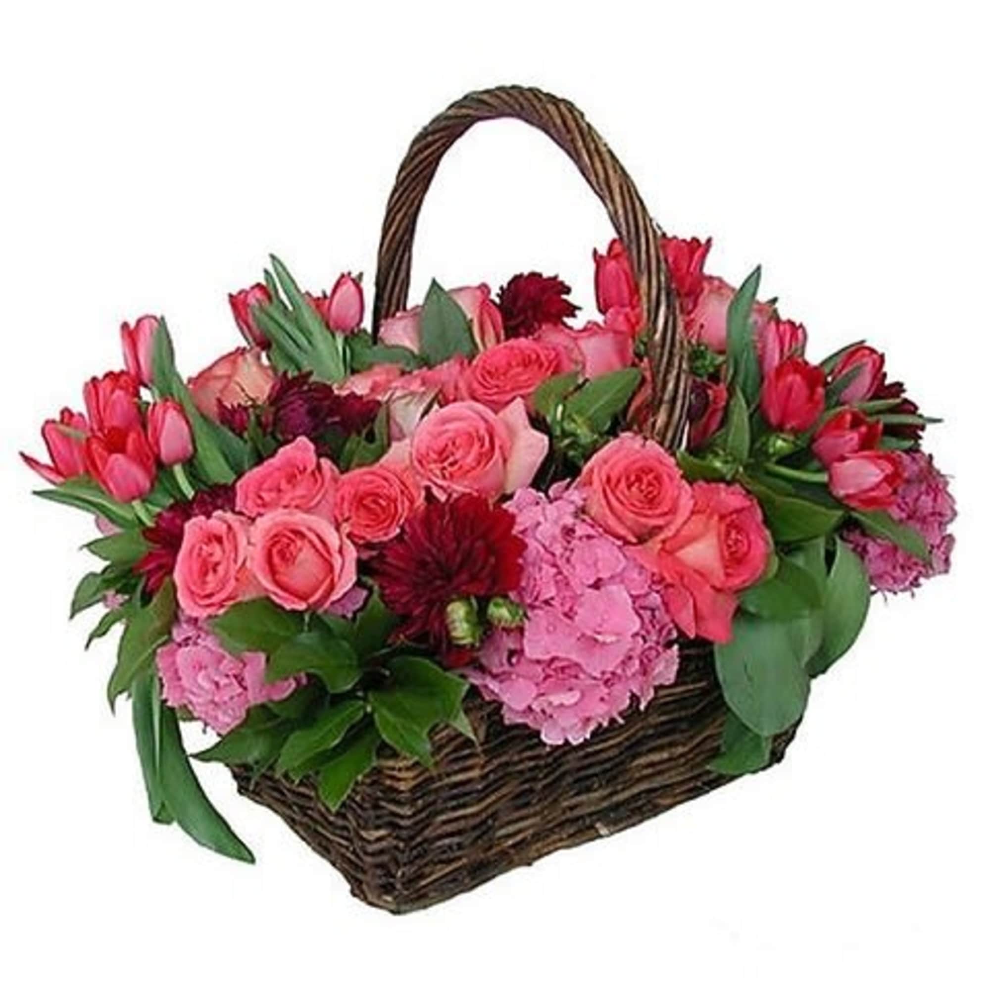 Roses, Tulips and Hydrangea in a wicker picnic basket.

