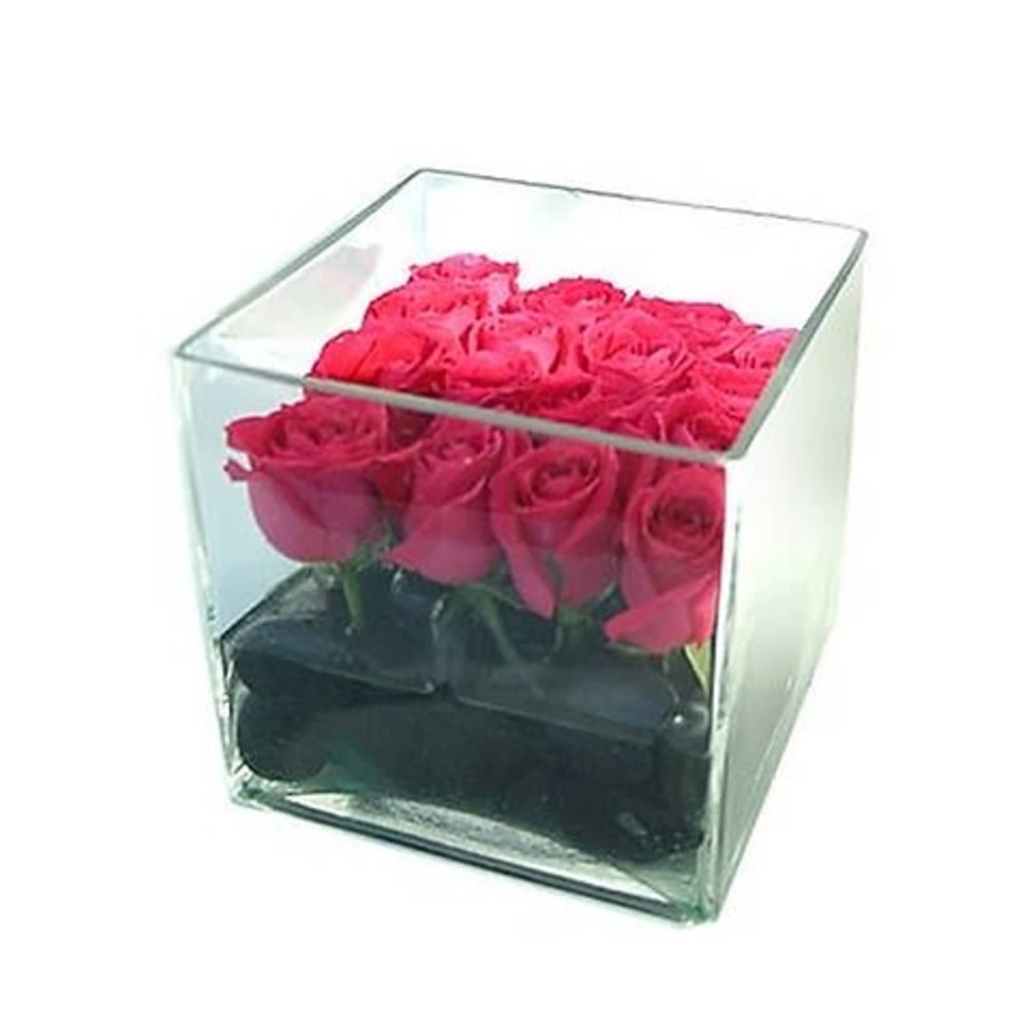 Plush red rose arranged elegantly in a contemporary cube vase with river