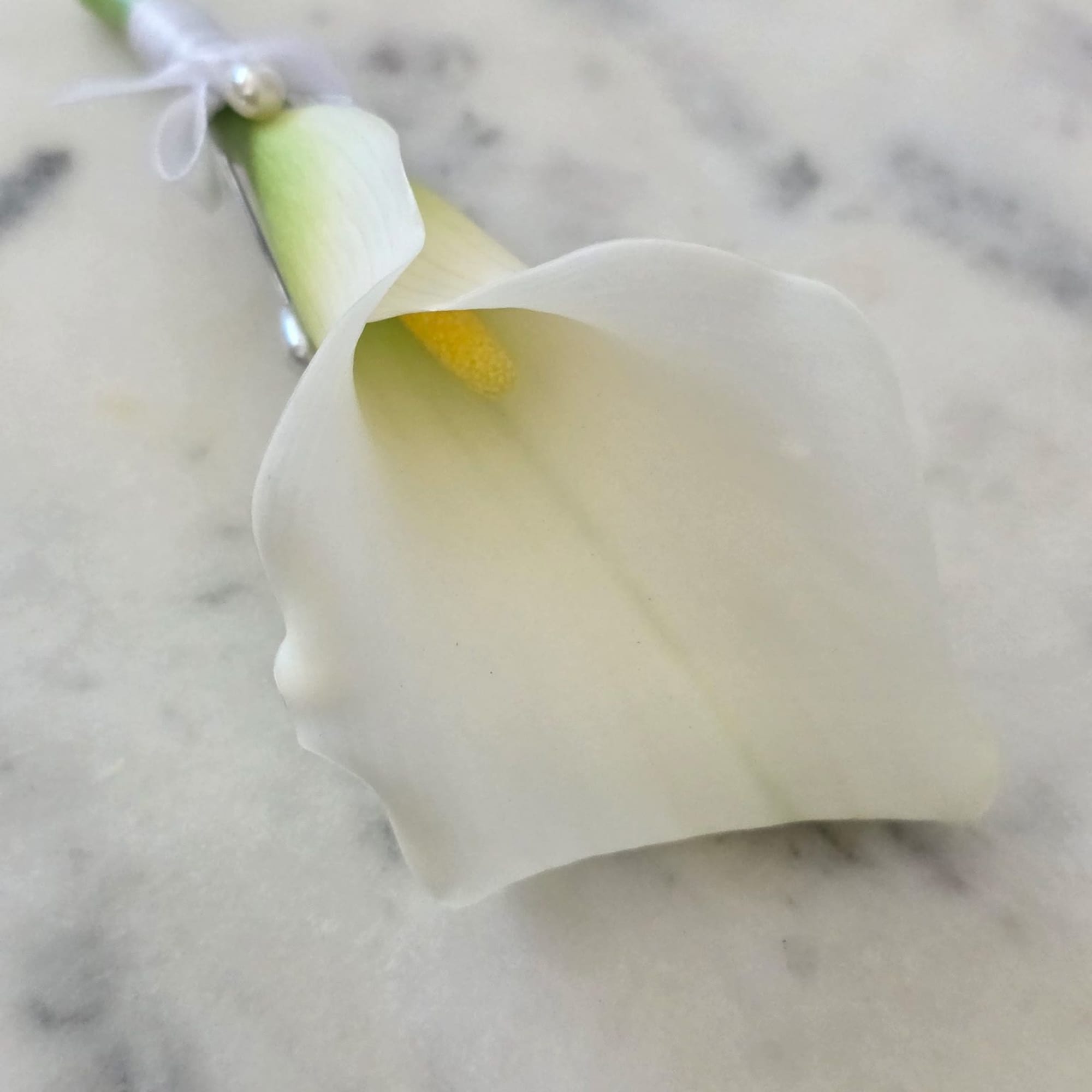 A single soft-white calla lily boutonniere with a whisper of green at