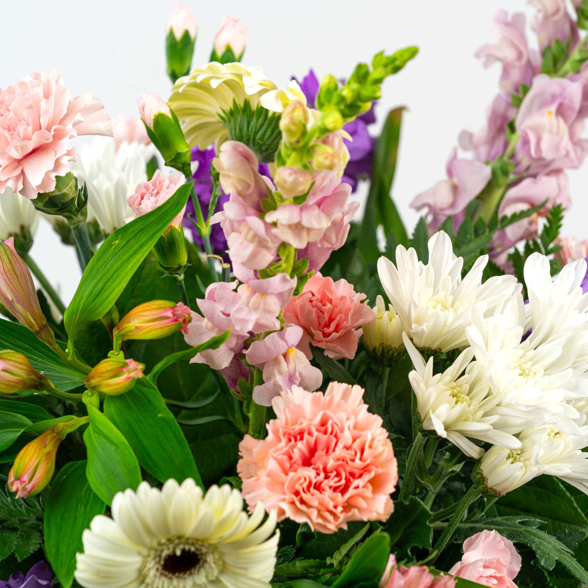 Mixed bouquet of pink carnations, white mums, cream gerbera and purple flowers.
