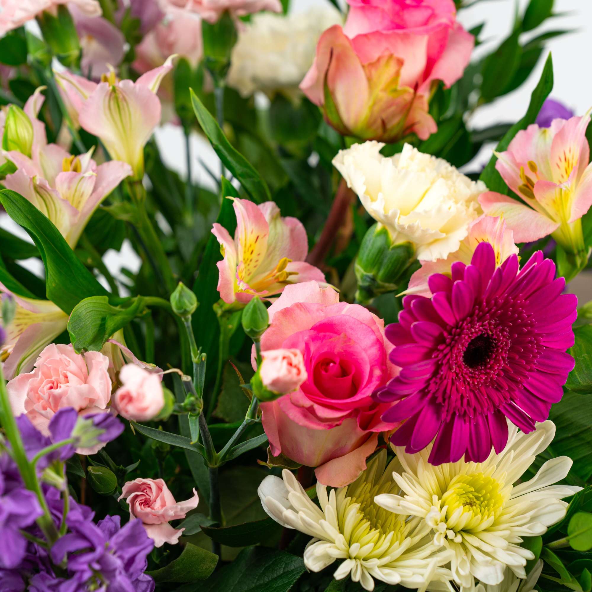 Colorful bouquet with pink roses, magenta gerbera daisies, white mums, and pastel mixed blooms