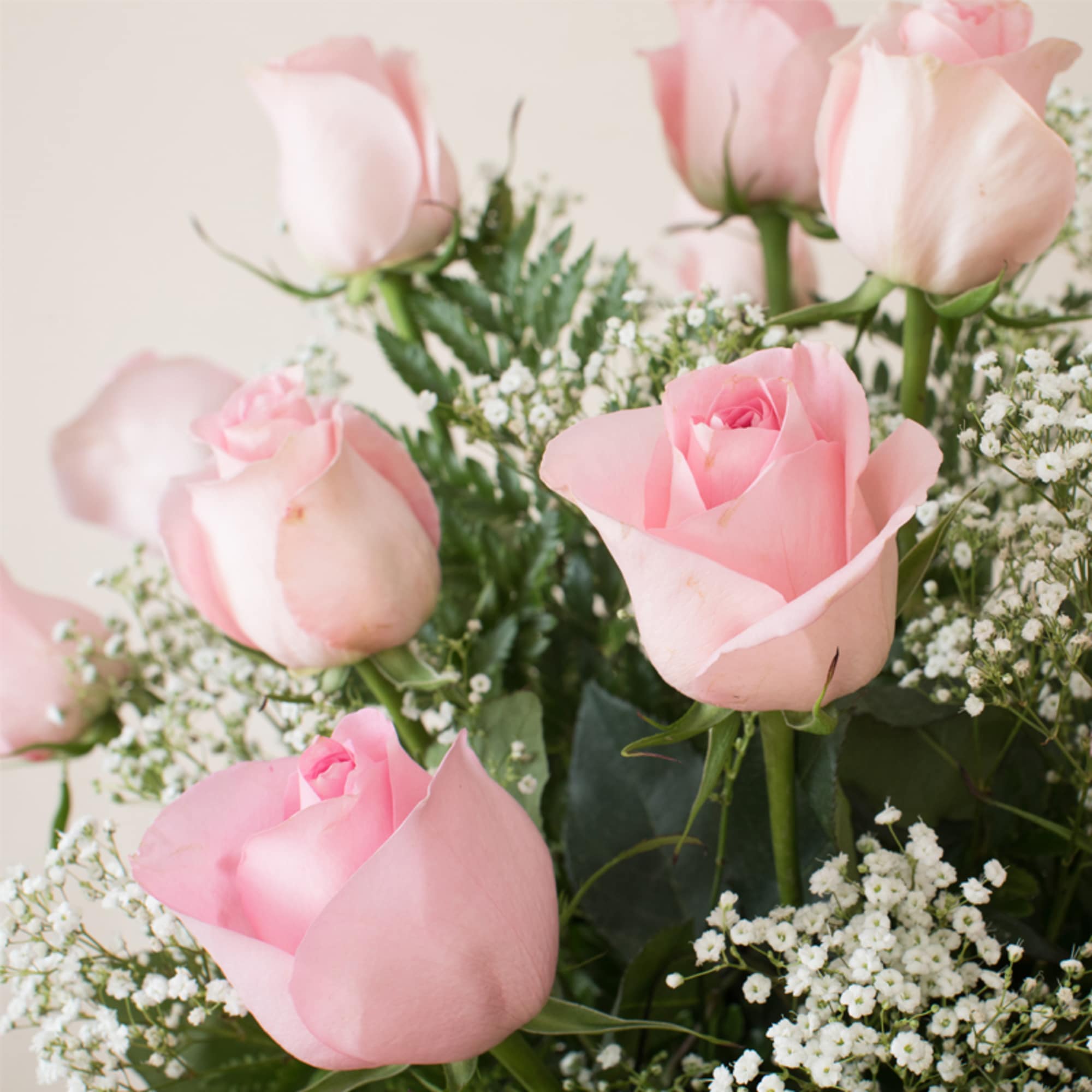 Arrangement of soft pink roses with white filler flowers against a light background