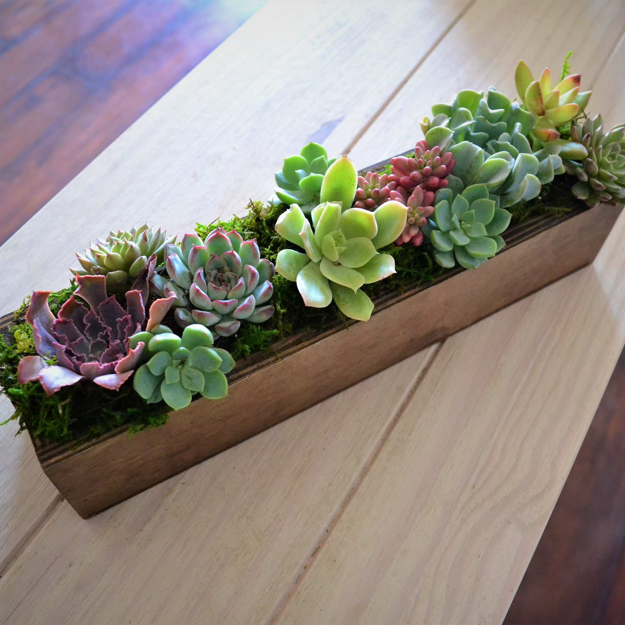 Rectangular wooden planter filled with assorted succulents