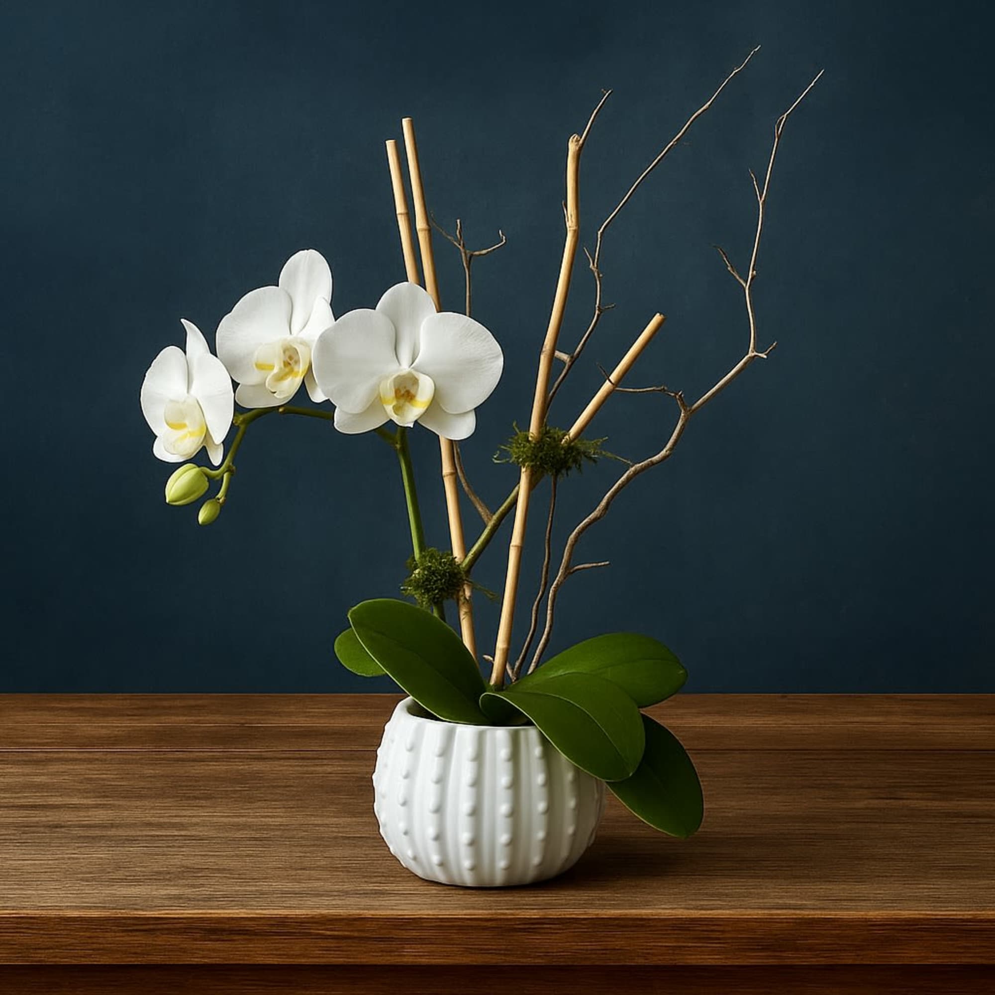 White orchid arrangement in a white ceramic pot with bamboo stakes