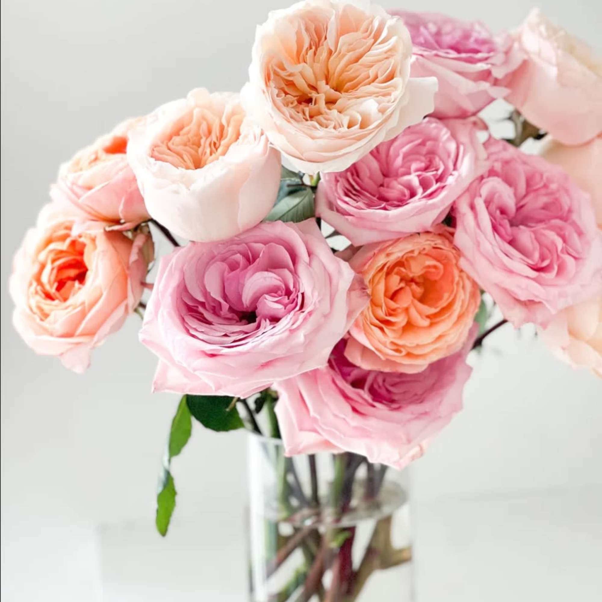 Bouquet of pink and peach roses in a clear glass vase