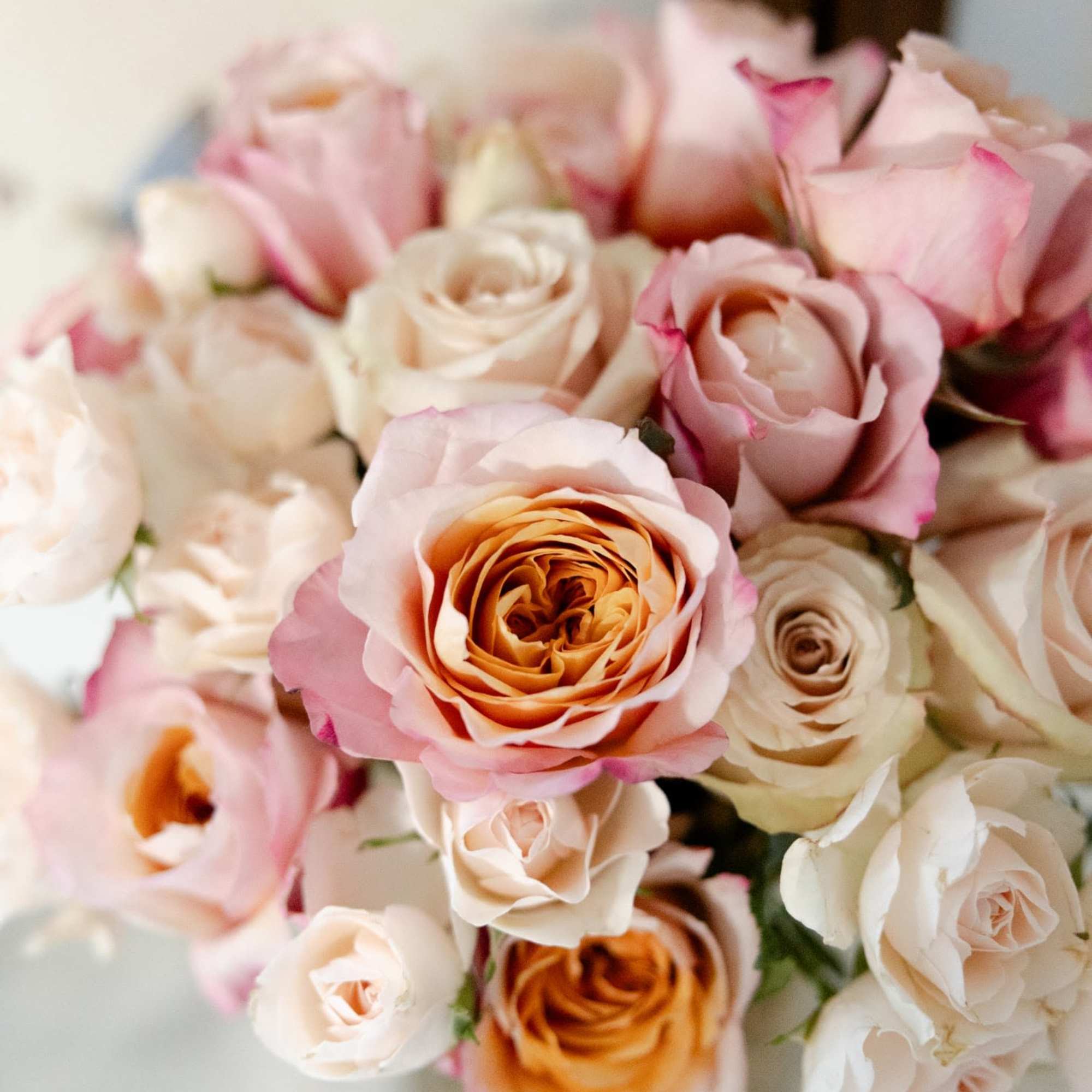 Bouquet of blush and peach roses