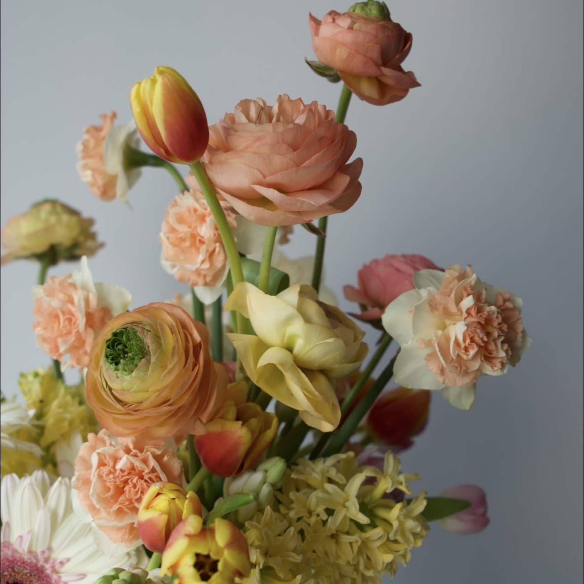 A vibrant spring arrangement designed to bring instant joy. Featuring tulips, ranunculus