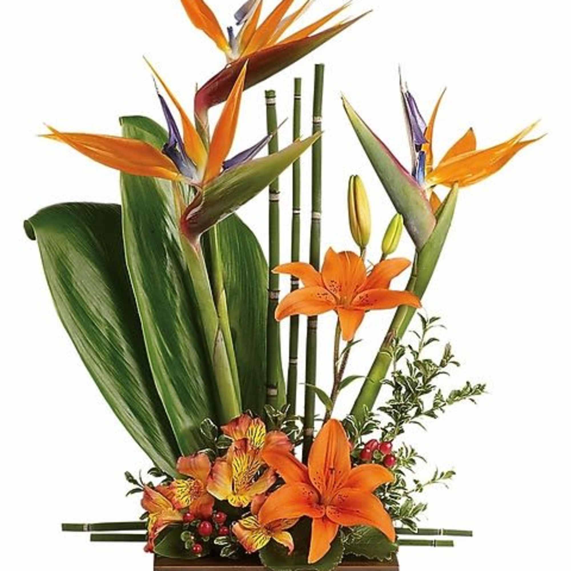 Send good feng shui someone's way with this striking arrangement. Orange lilies