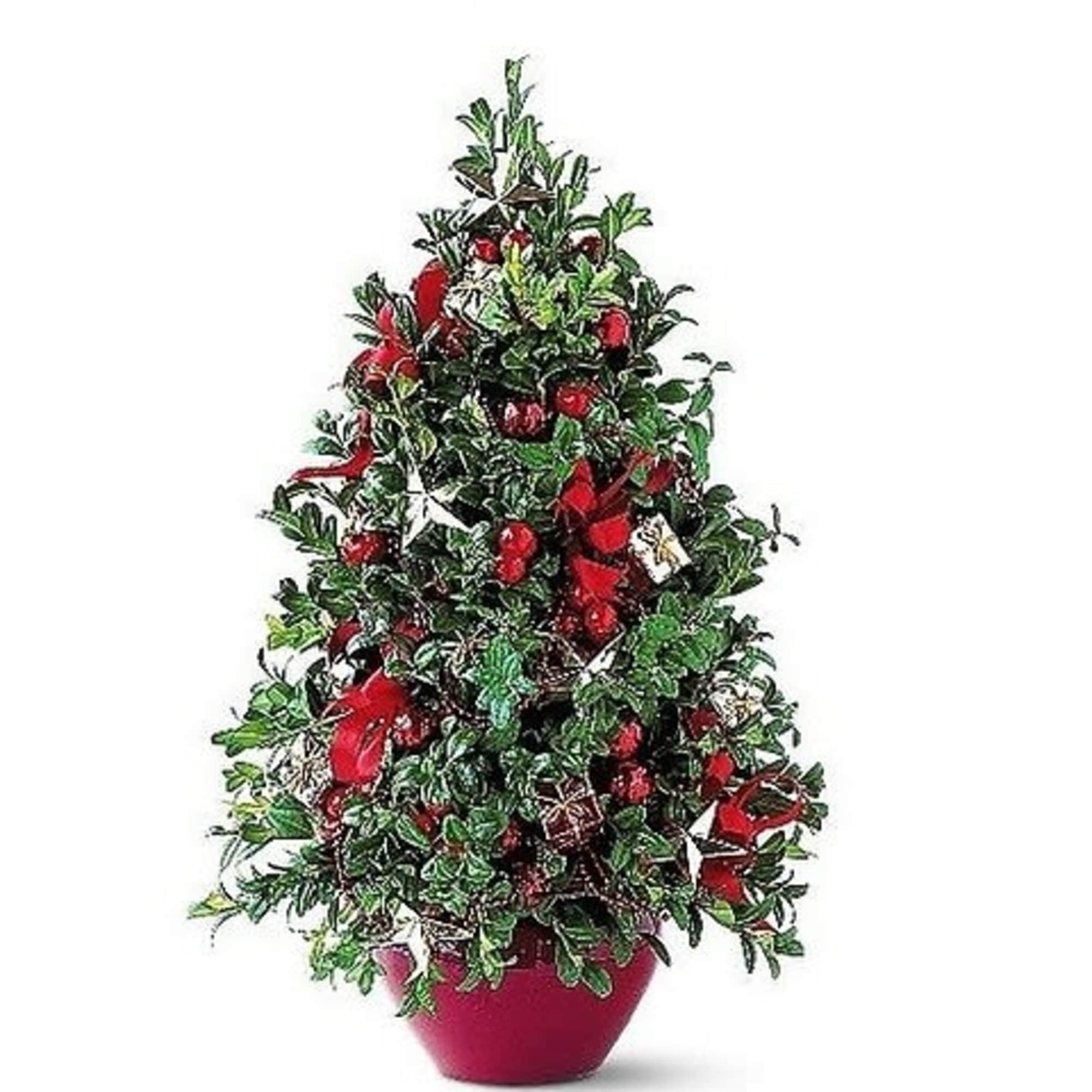 There's nothing like a little holiday tree to liven up the holidays
