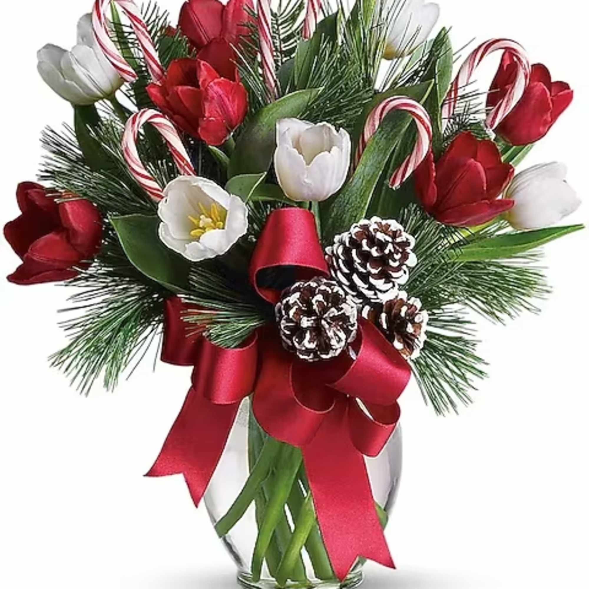 Nothing's sweeter than Christmas tulips - except maybe Christmas tulips with candy