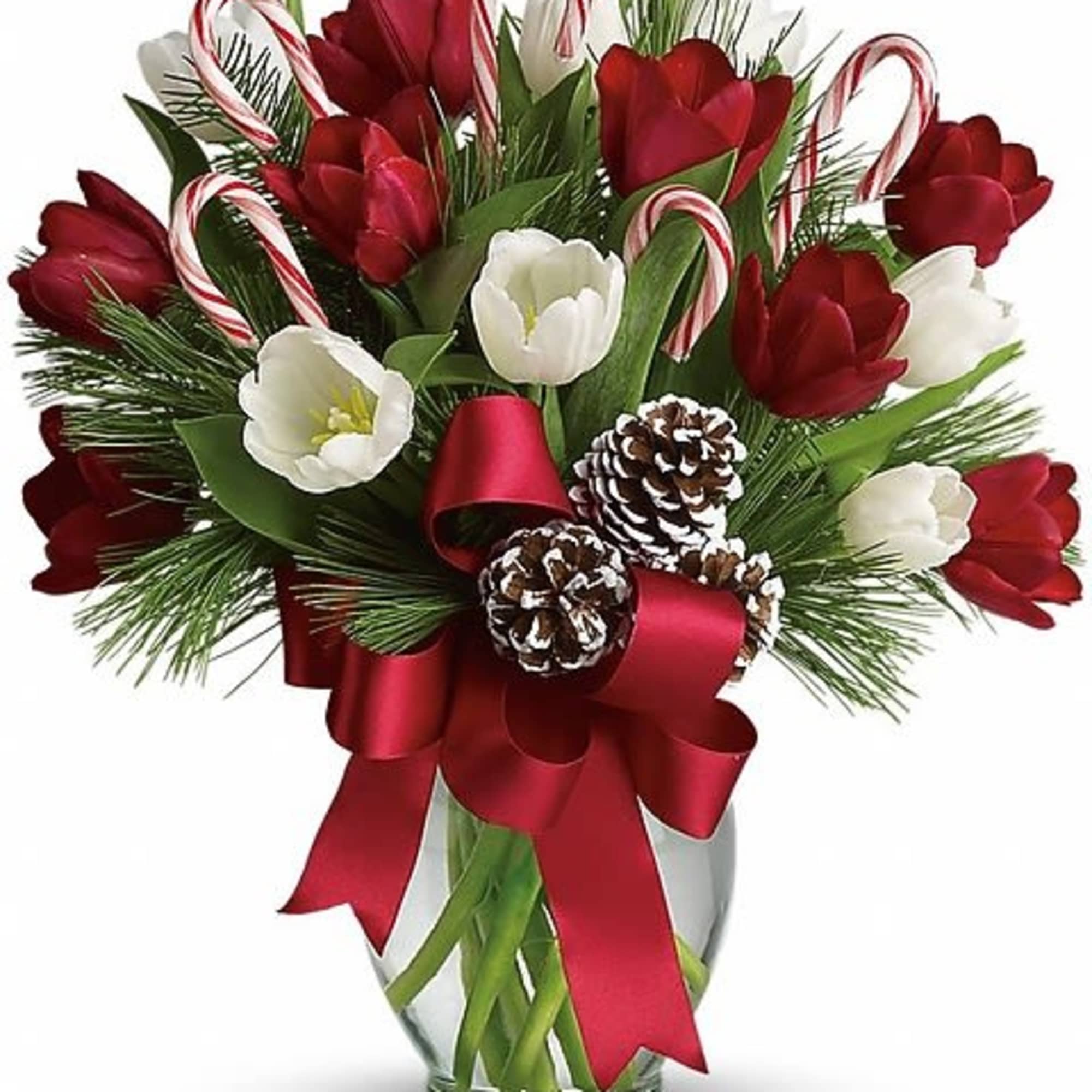 Nothing's sweeter than Christmas tulips - except maybe Christmas tulips with candy