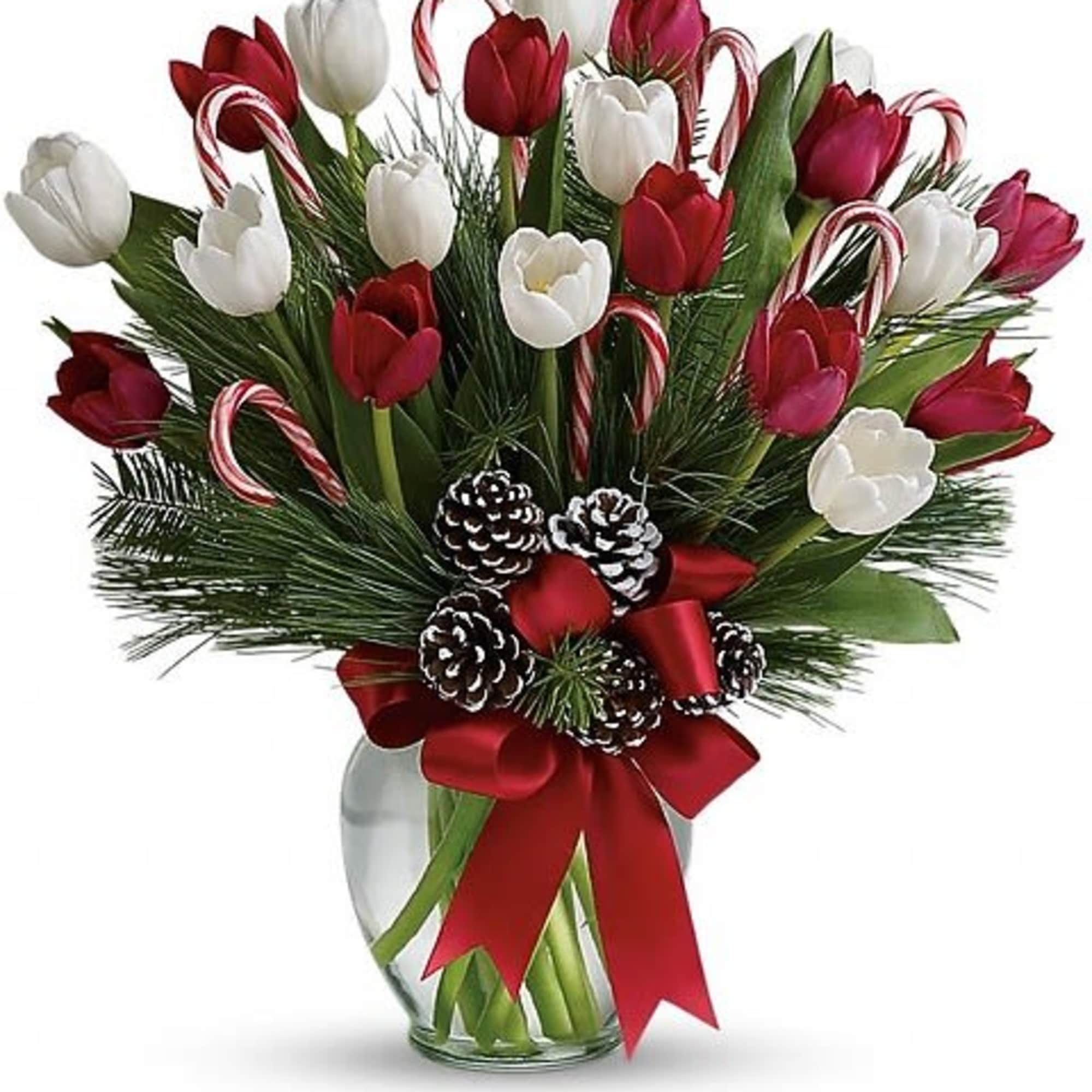 Nothing's sweeter than Christmas tulips - except maybe Christmas tulips with candy