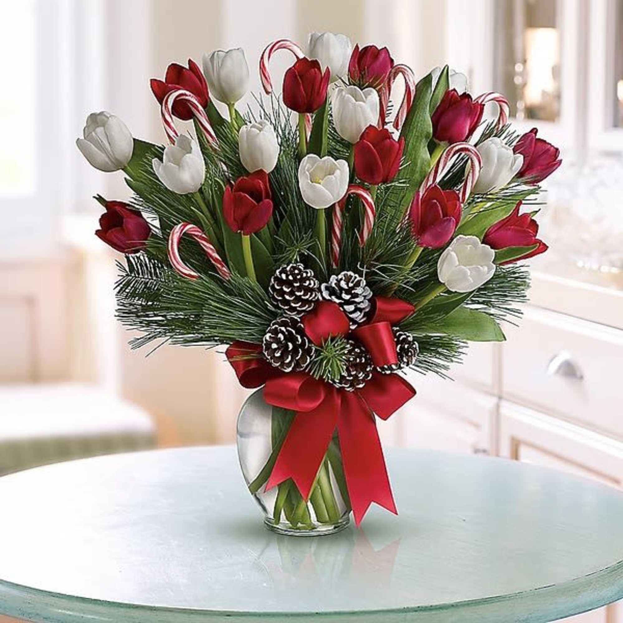 Nothing's sweeter than Christmas tulips - except maybe Christmas tulips with candy