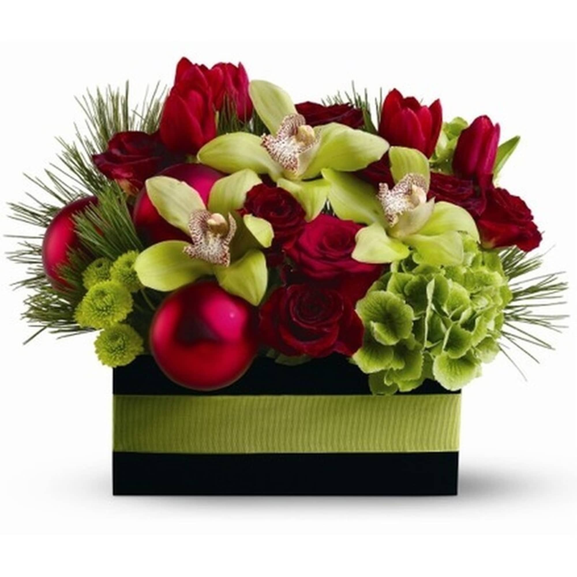 Low rectangular arrangement of red roses and tulips with green orchids, hydrangea, pine and red ornaments.