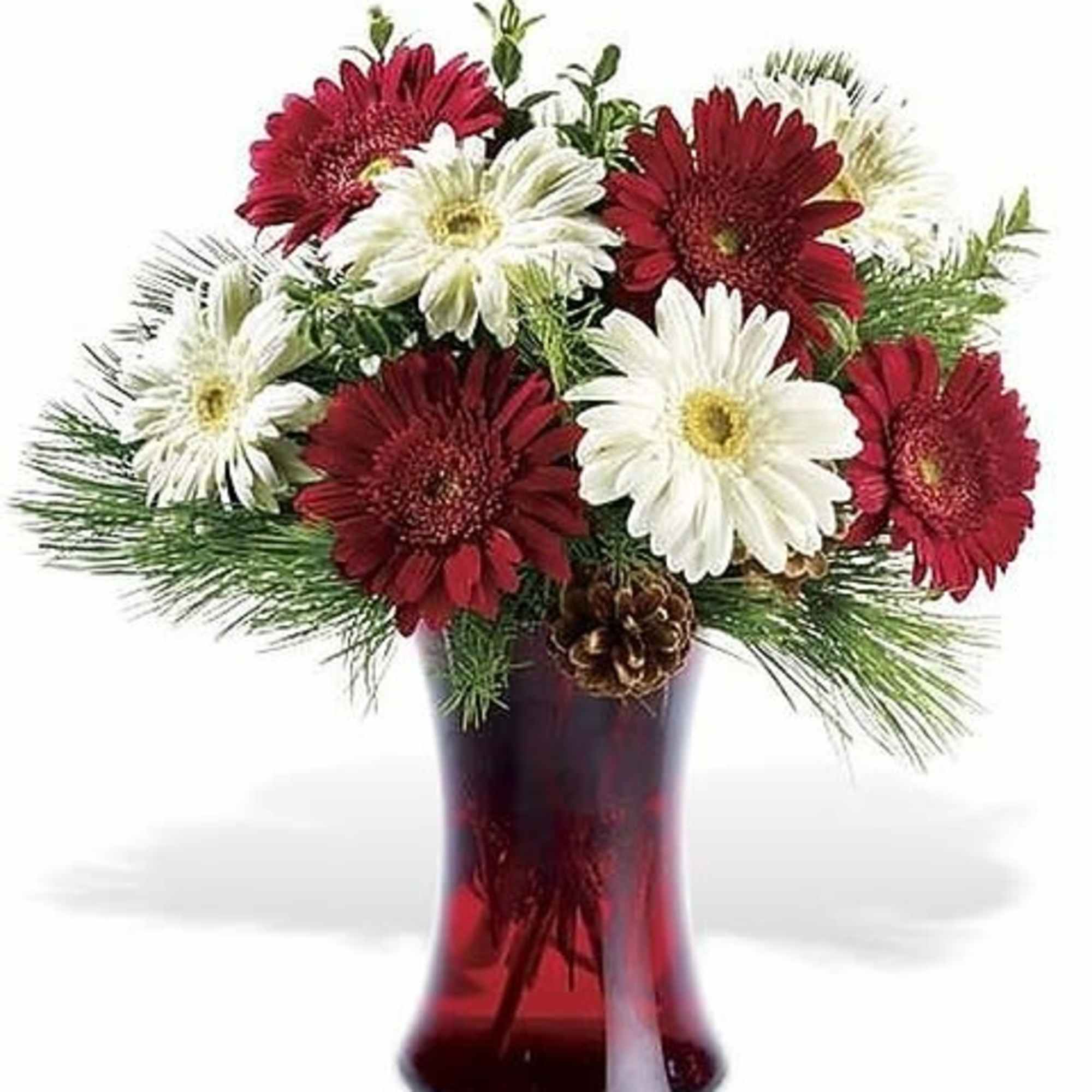 This Christmas, why not go crazy for daisies? Send a cheerful floral