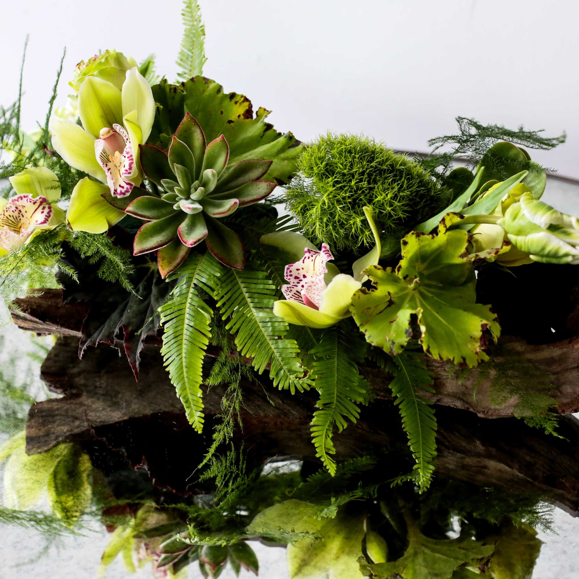 Succulent and orchid arrangement on a piece of driftwood