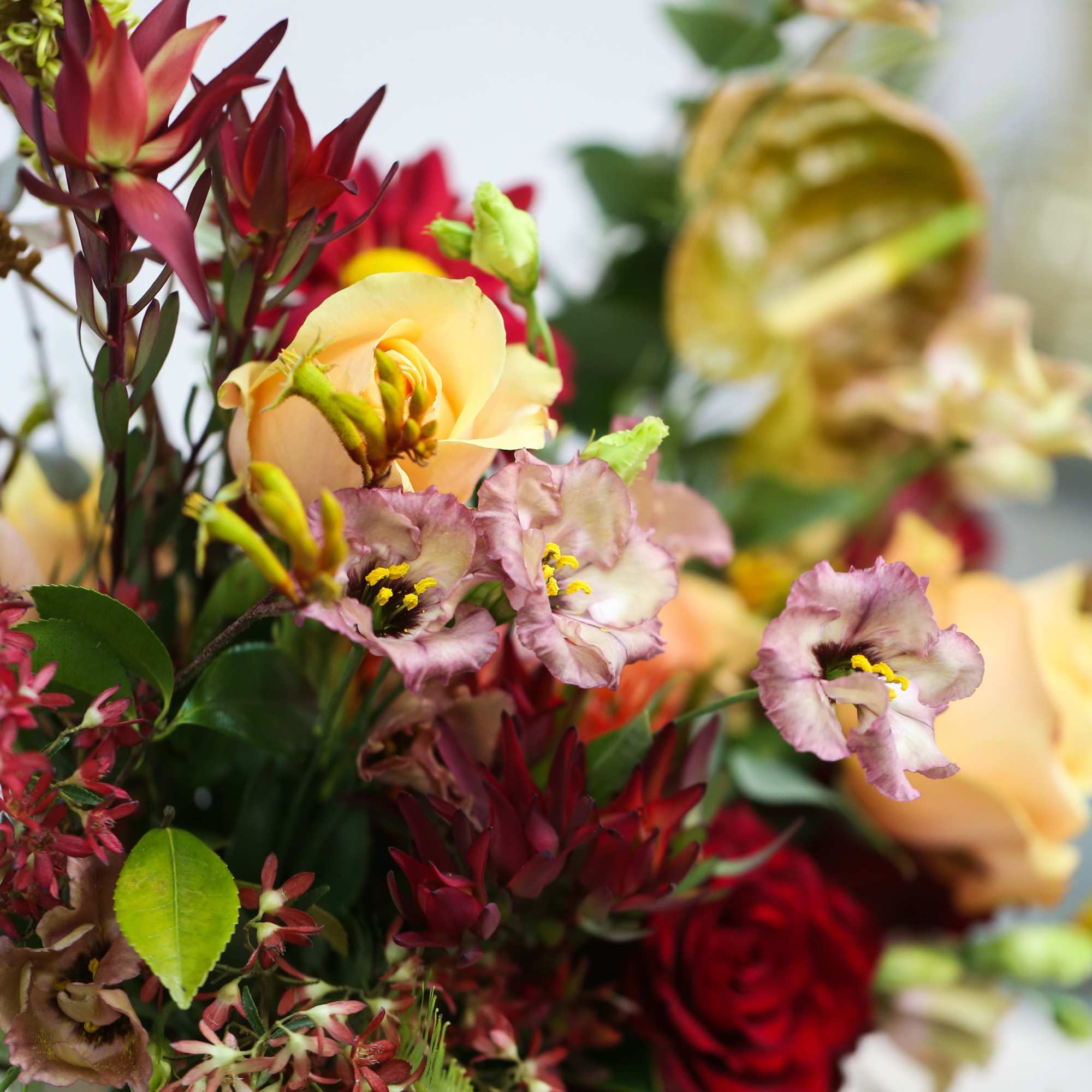 Mixed bouquet with roses and pale ruffled blooms in red, yellow, and pink