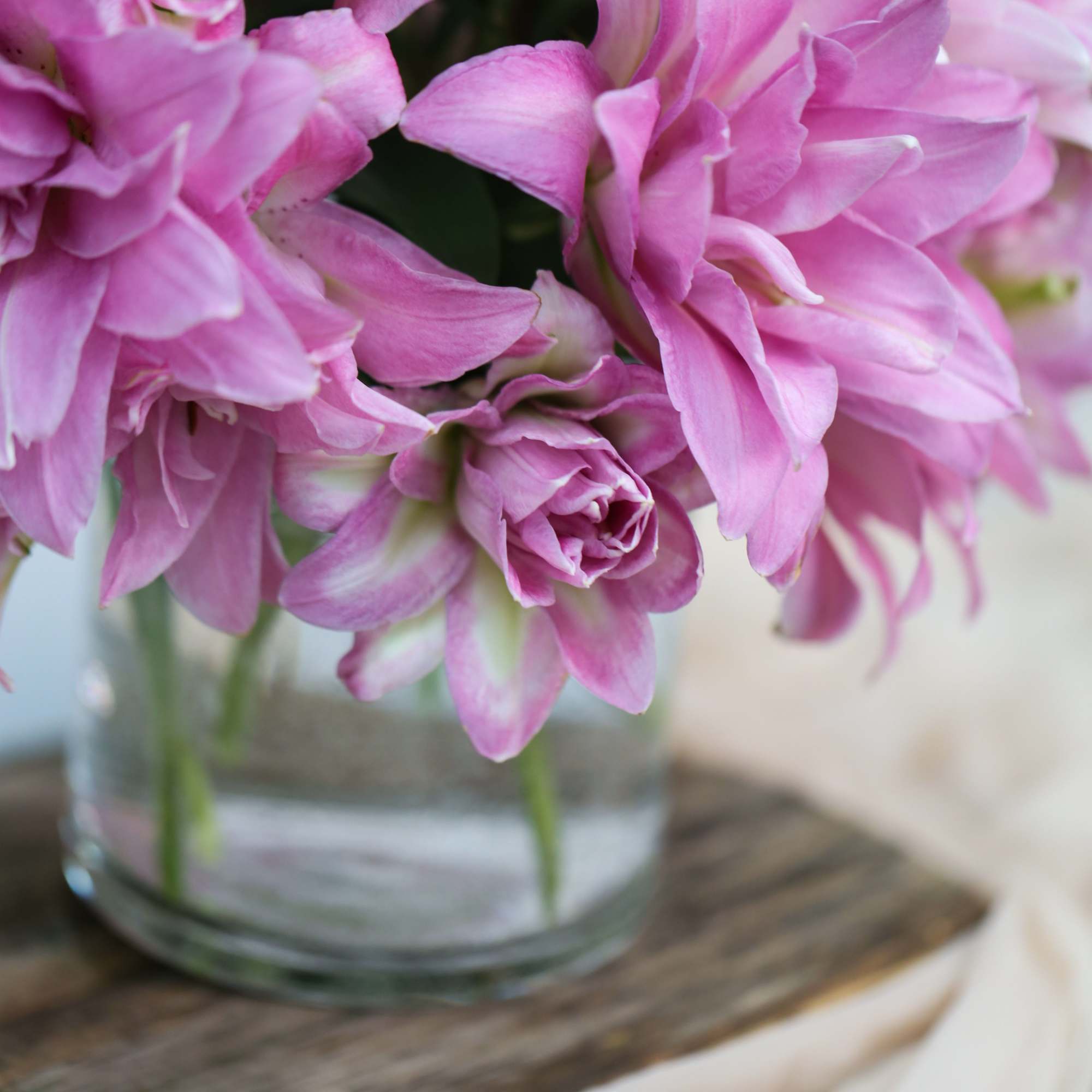 Pink flowers arranged in a clear glass vase