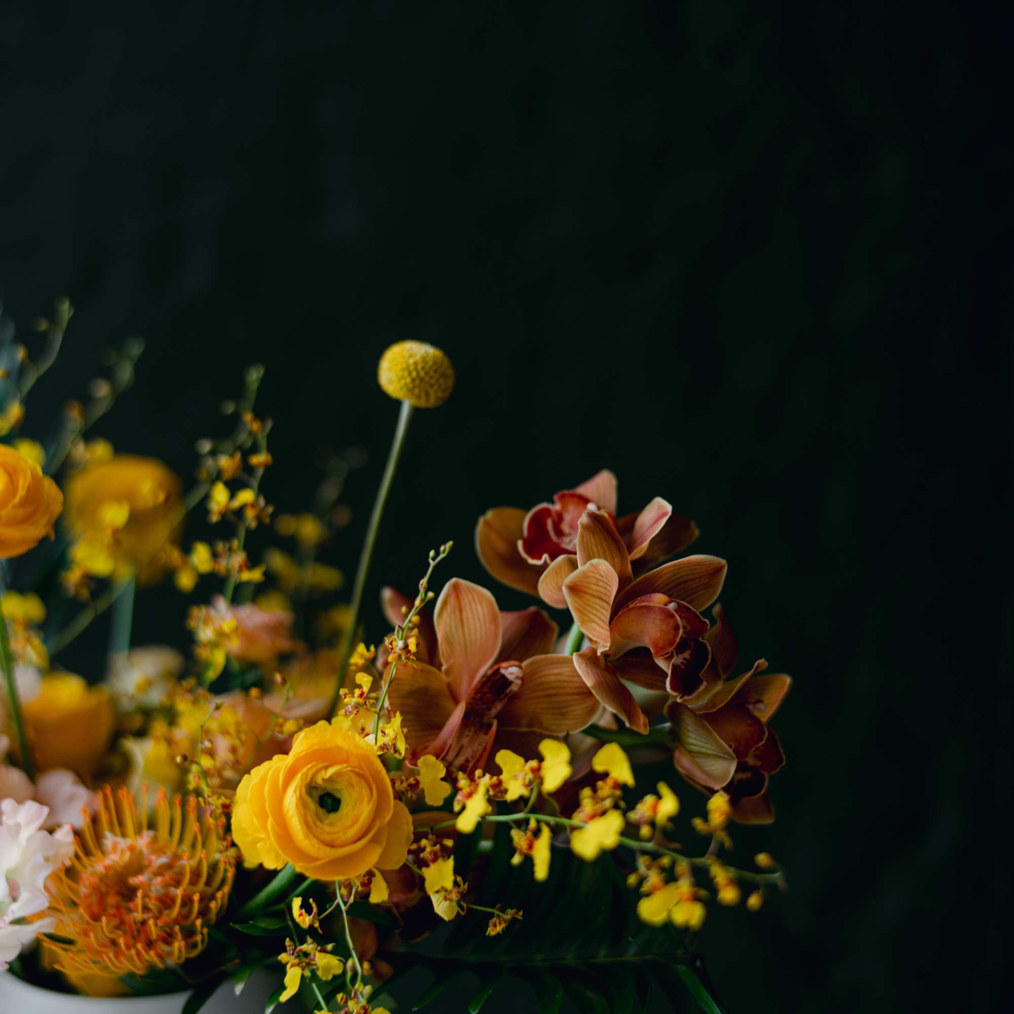 Asymmetrical arrangement of yellow ranunculus, orchids, and protea in a white pitcher