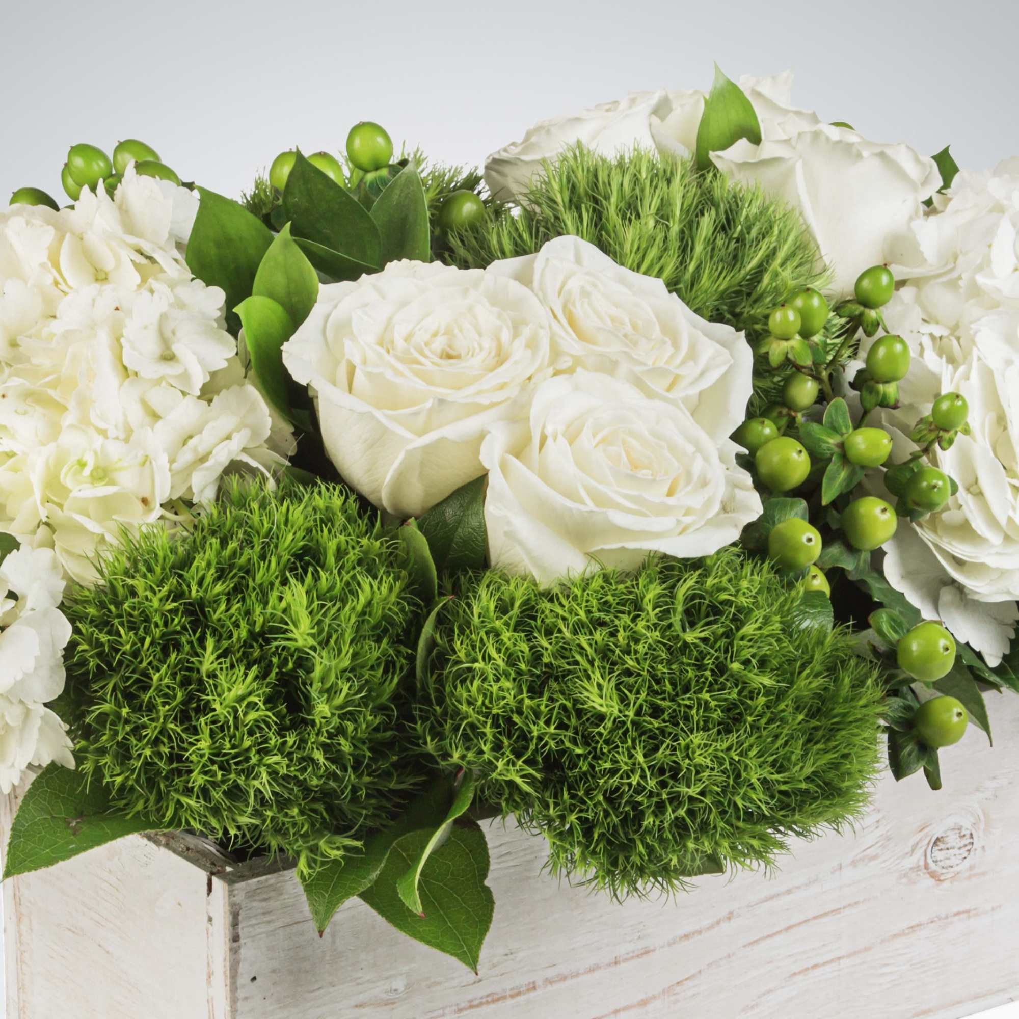 White roses and hydrangeas with bright green textured blooms in a white box