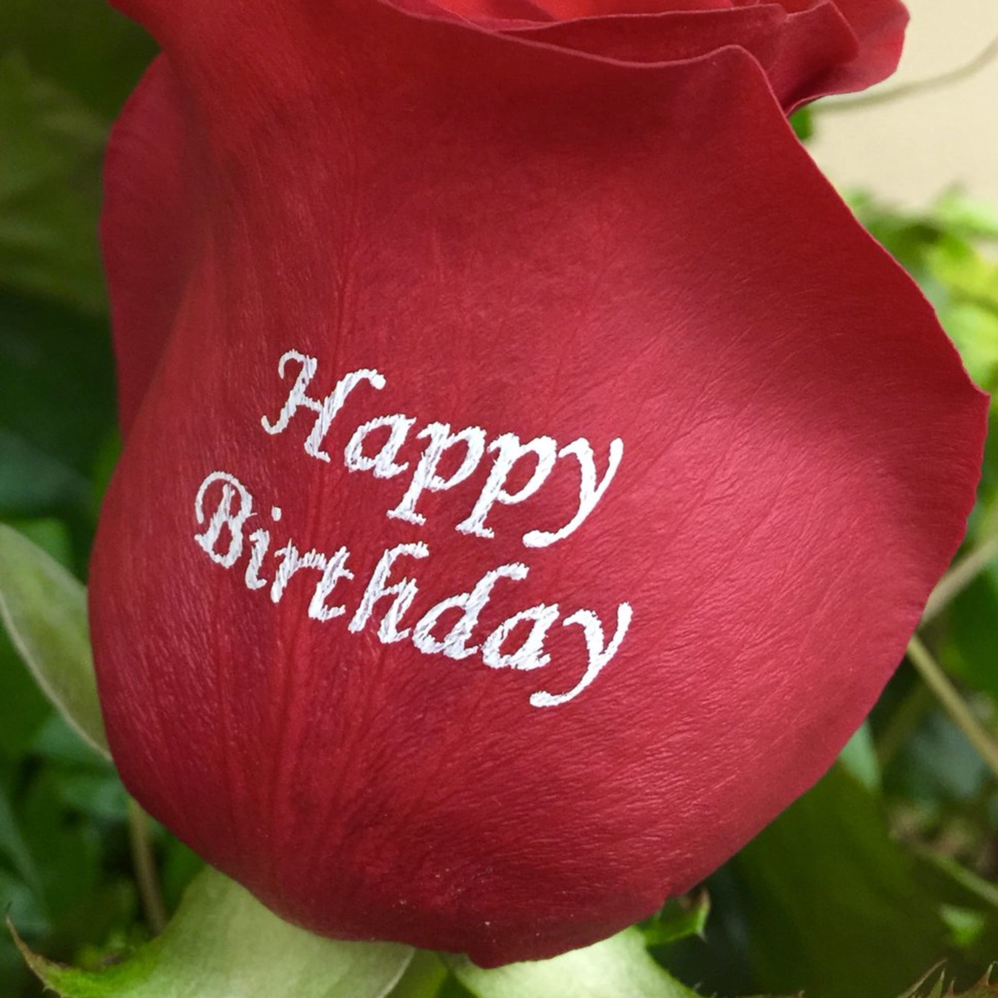 Red rose with "Happy Birthday" written on the petal