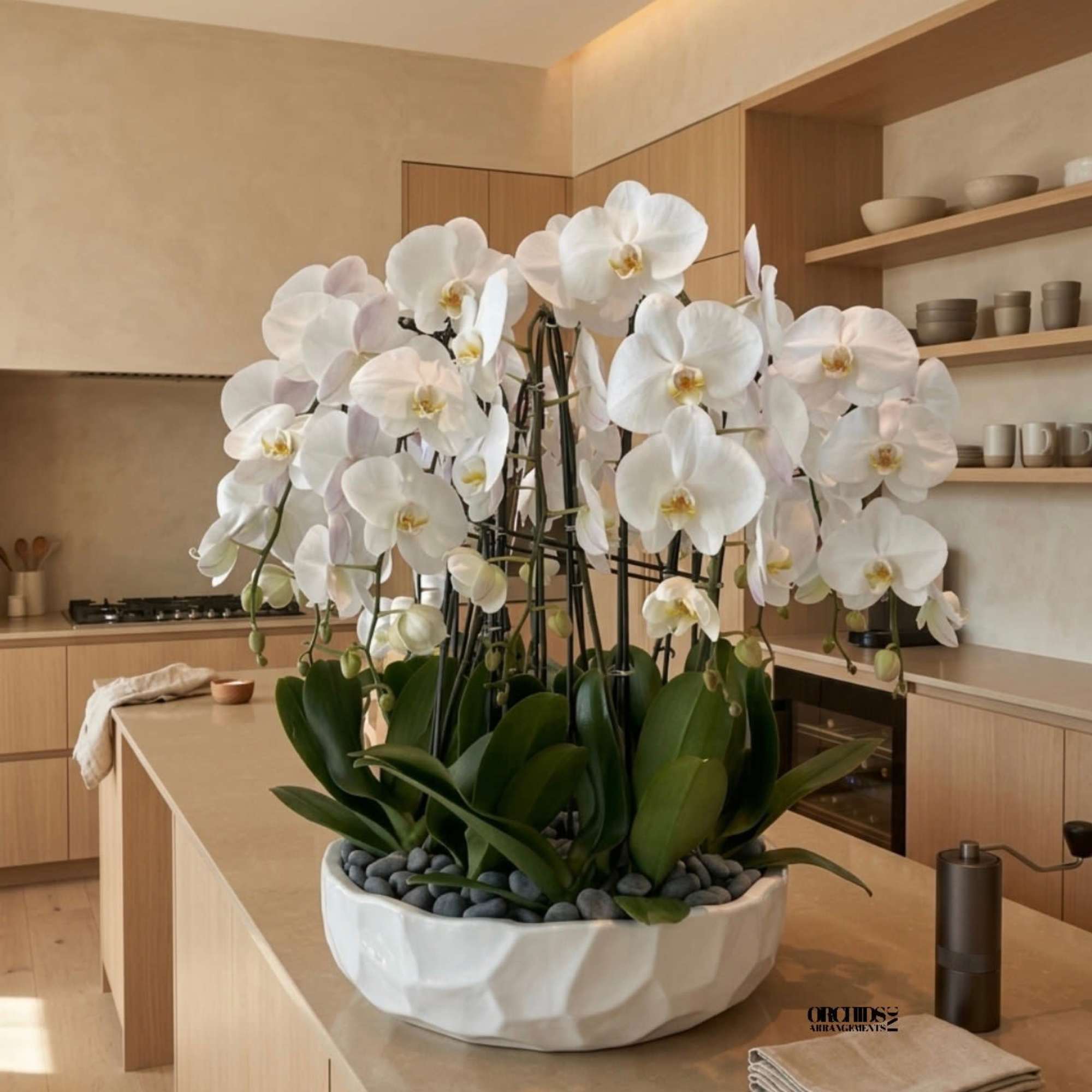 This elegant Eleven White Phalaenopsis Cascade orchid arrangement creates a striking vertical