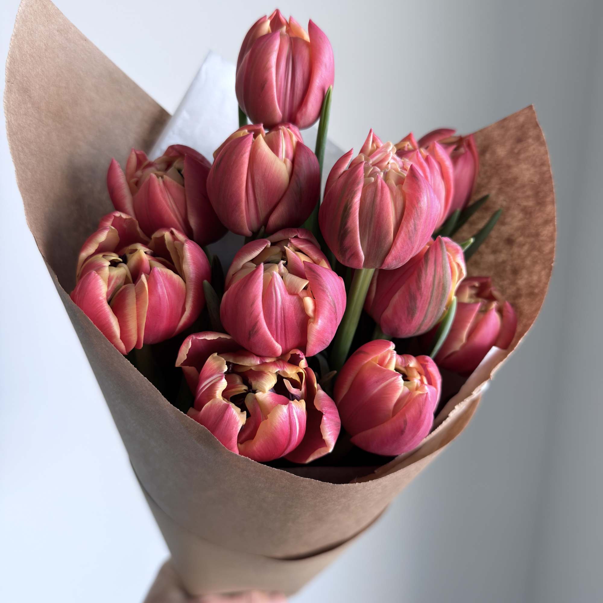 Bouquet of pink tulips wrapped in brown paper