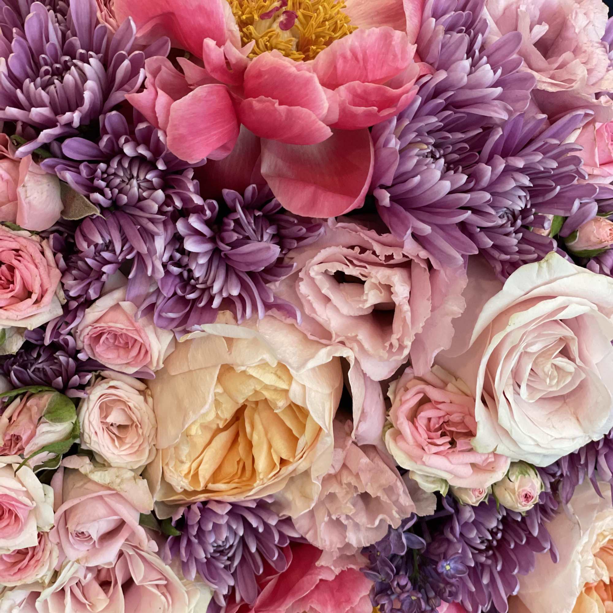 Pink and purple bouquet with roses, chrysanthemums, and large blooms