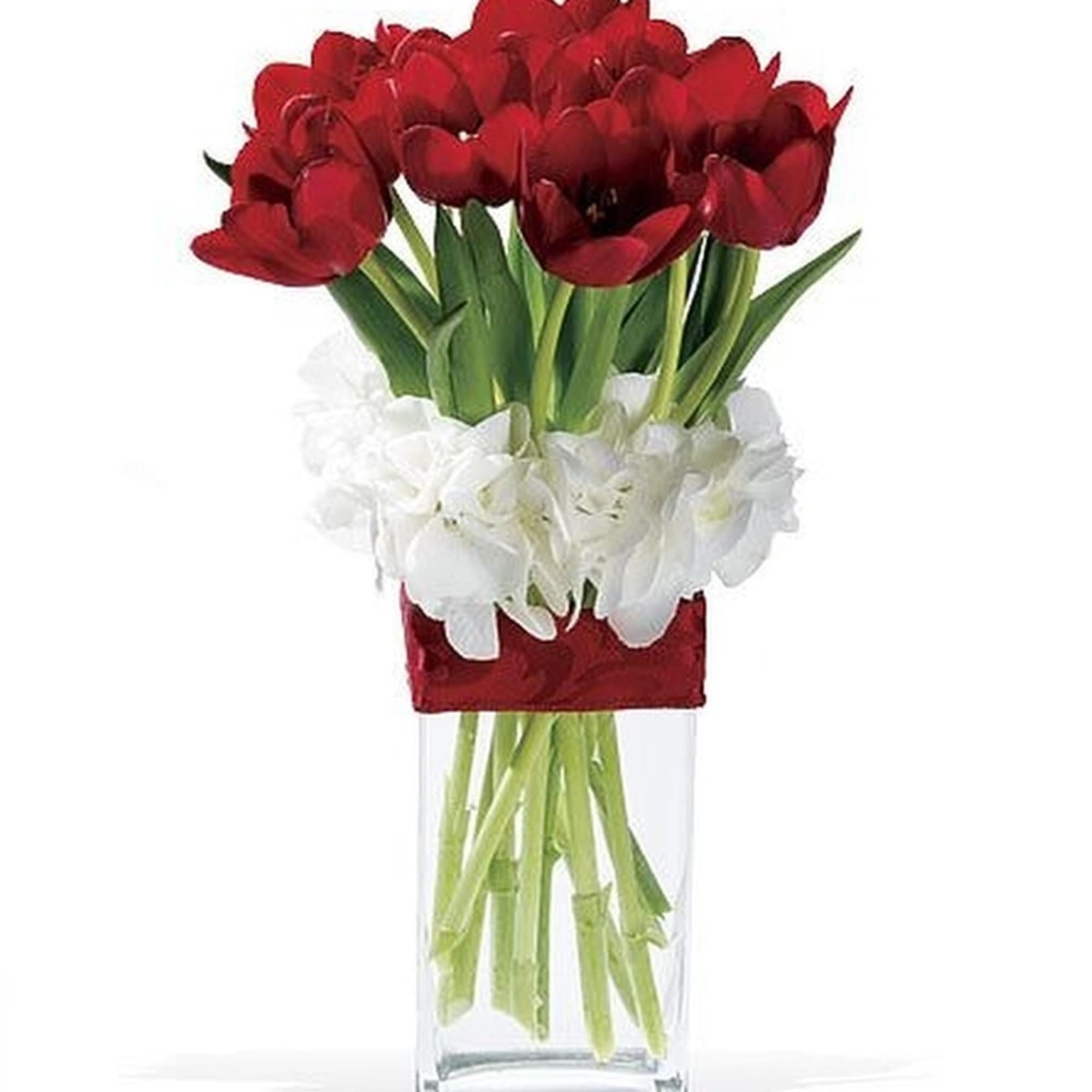 Tall glass vase with red tulips and white hydrangeas wrapped with a red band