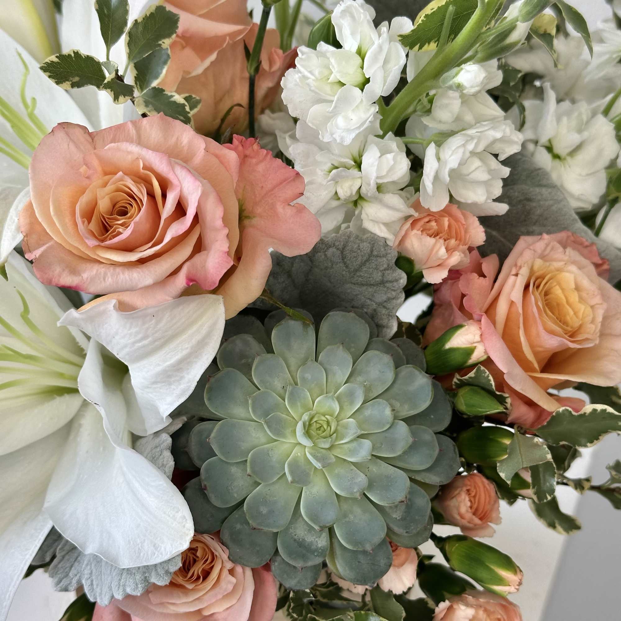 Arrangement of peach roses, white lilies, white stock, and a central green succulent in a light container