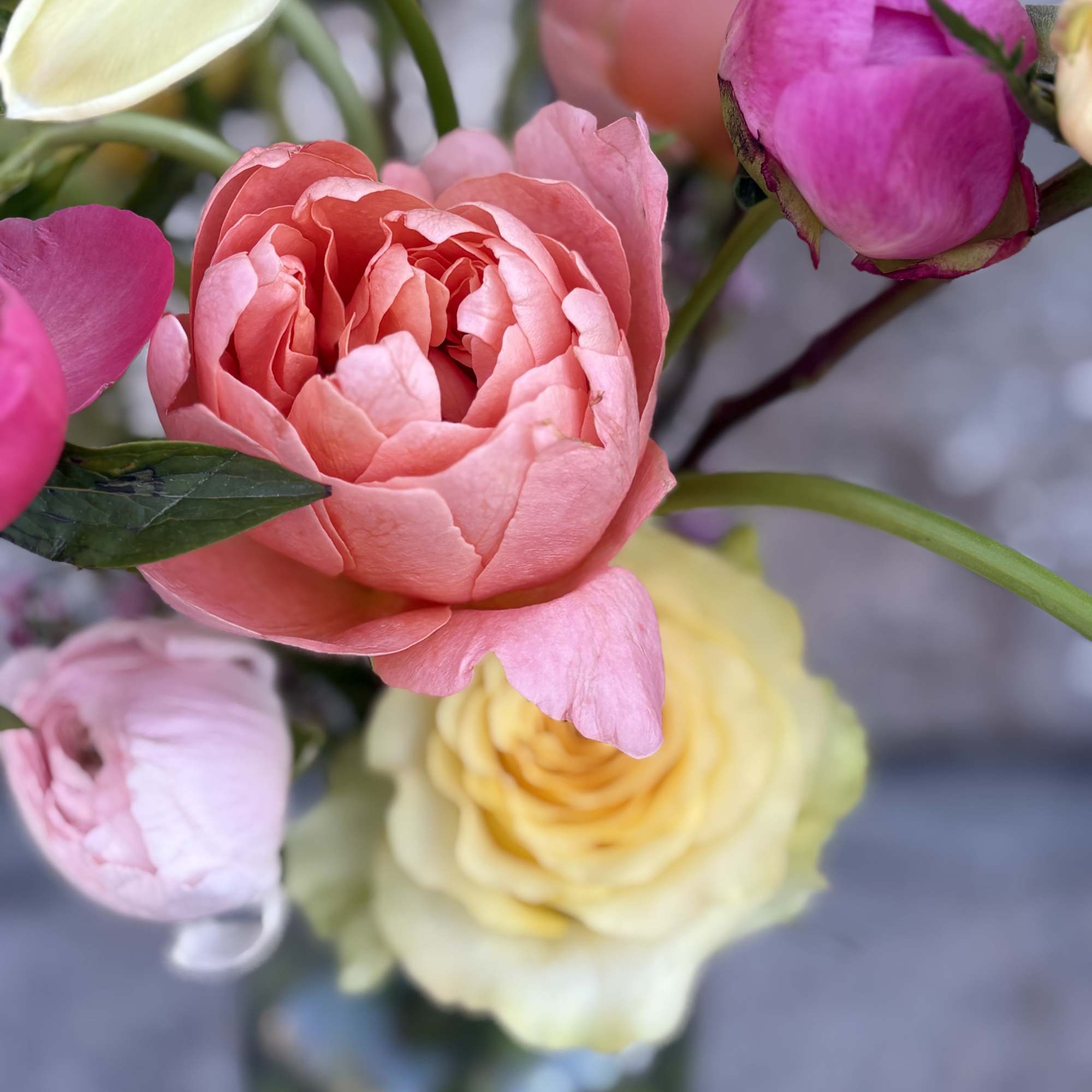 A fresh, sunlit mix that feels like the warm days ahead! 