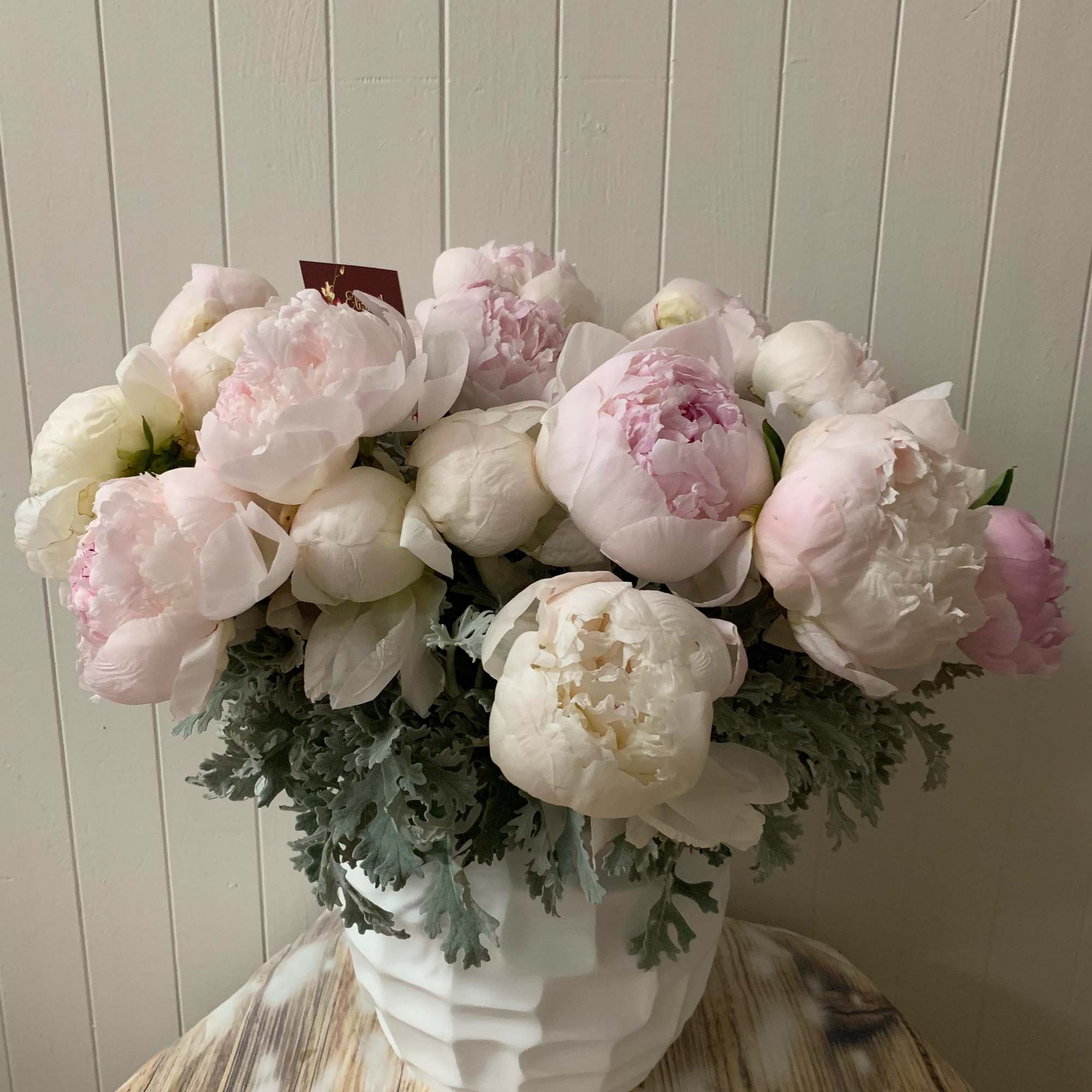 Pink and white peonies arranged in a white vase